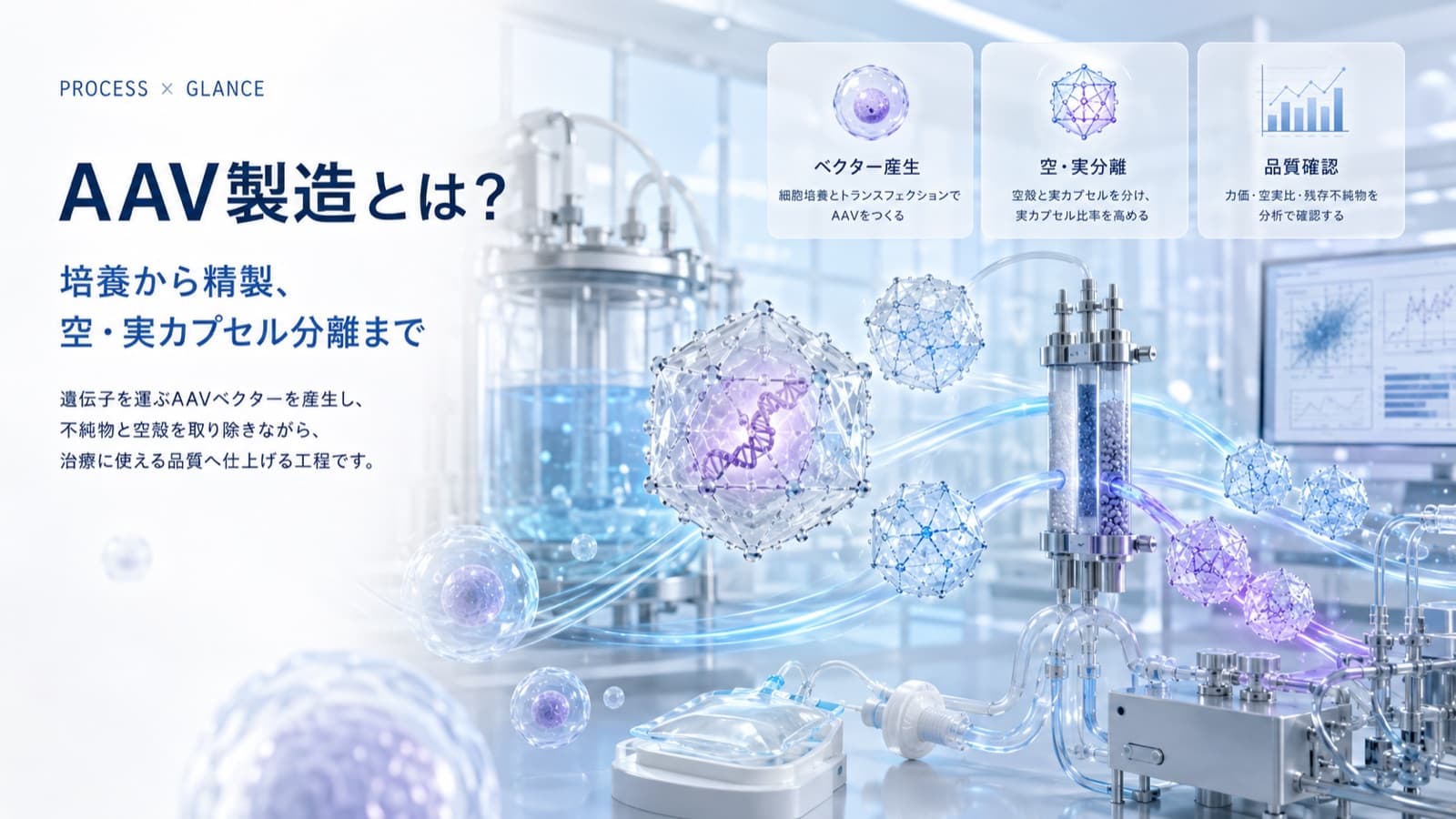 AAVベクターの製造工程とは？培養から空・実カプセル分離まで