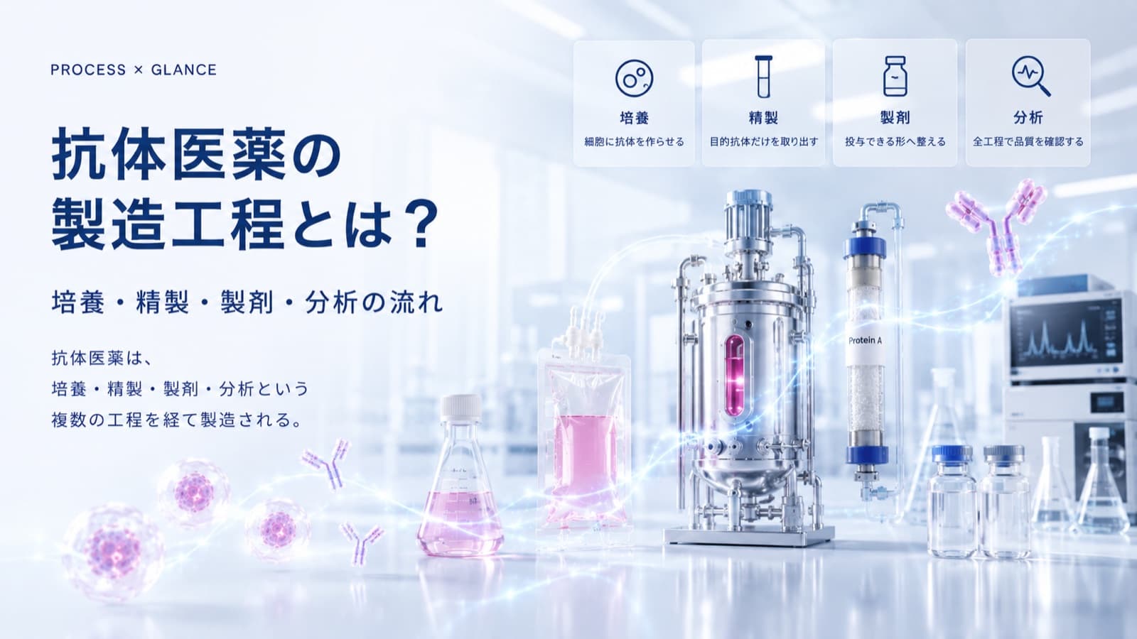 抗体医薬の製造工程とは？培養・精製・製剤・分析の流れ