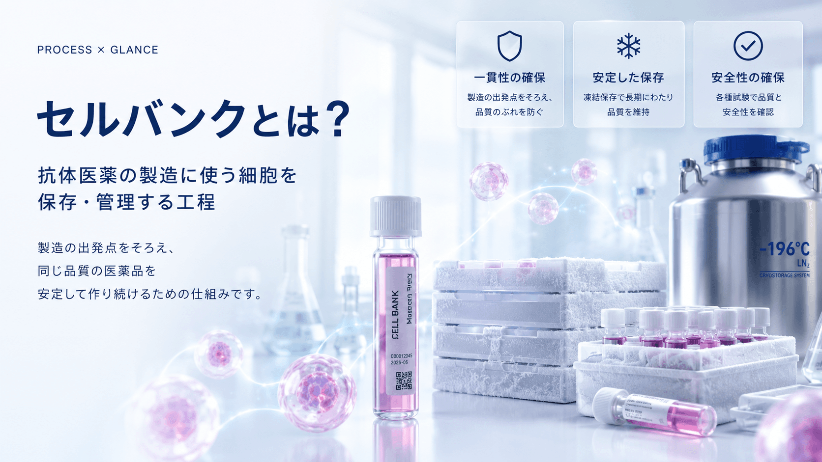 セルバンクとは？抗体医薬の製造に使う細胞を保存・管理する工程