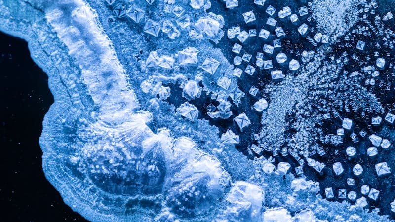 細胞治療の凍結保存とコールドチェーンとは？生存率を保って届ける