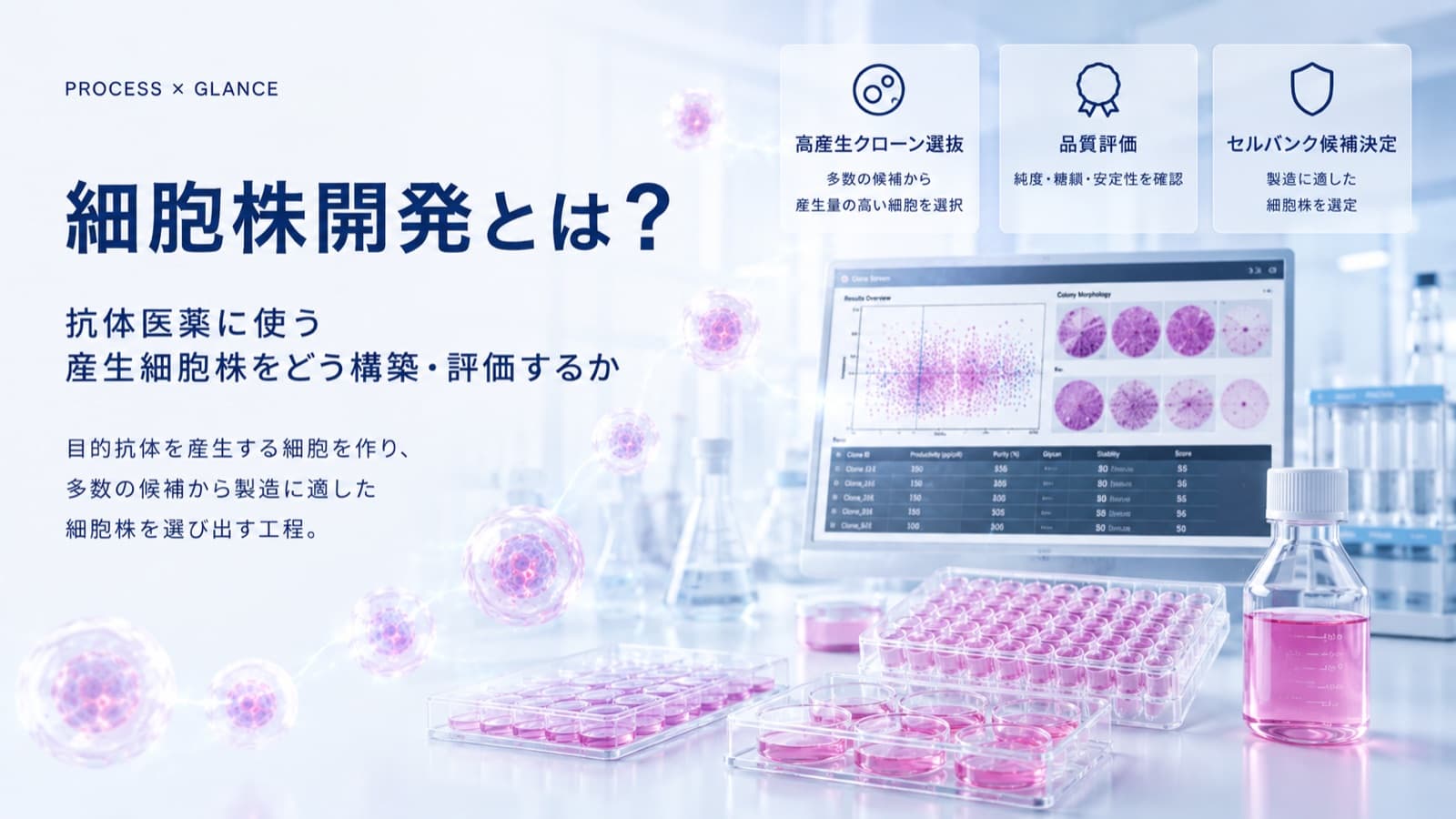 細胞株開発とは？抗体医薬に使う産生細胞株をどう構築・評価するか