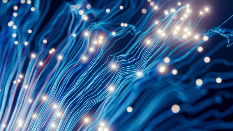 細胞治療製品の品質管理（CQA）とは？同一性・純度・力価・安全性