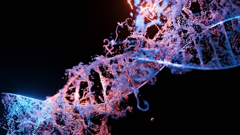 ゲノム編集（CRISPR）の細胞治療応用とは？RNP導入と編集の管理