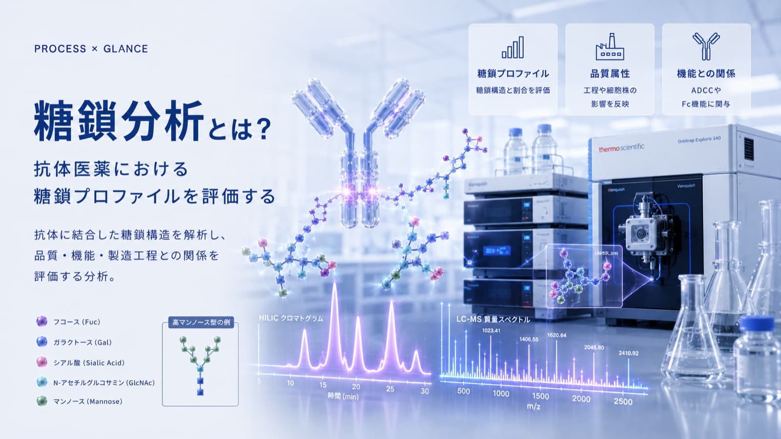 糖鎖分析とは？抗体医薬における糖鎖プロファイルを評価する