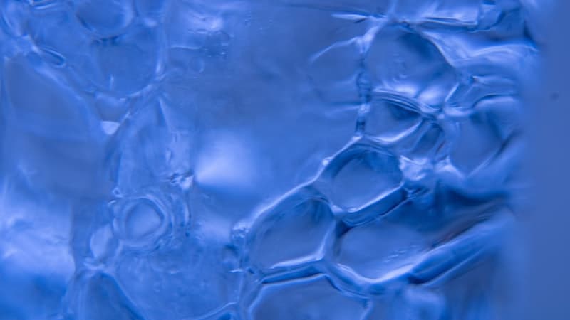 凍結乾燥にすべきか、液剤のままか──バイオ医薬の剤形選択