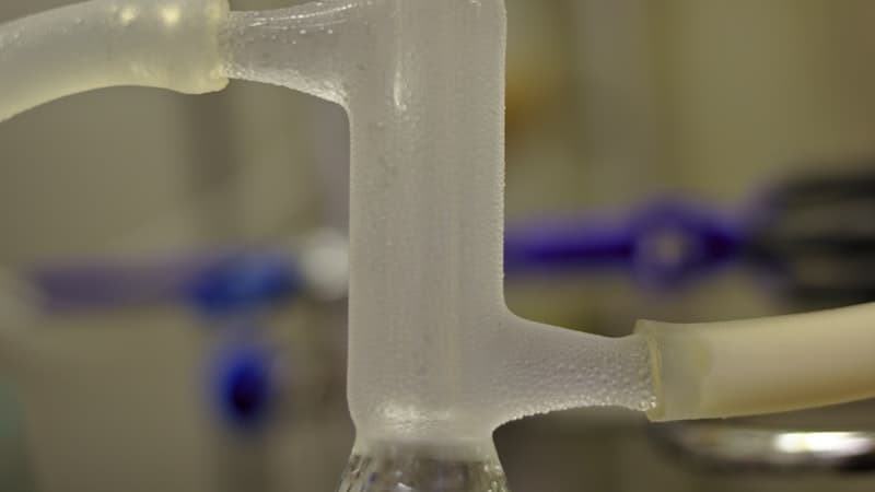 微生物由来タンパク質の回収・精製とは？菌体破砕からエンドトキシン除去まで