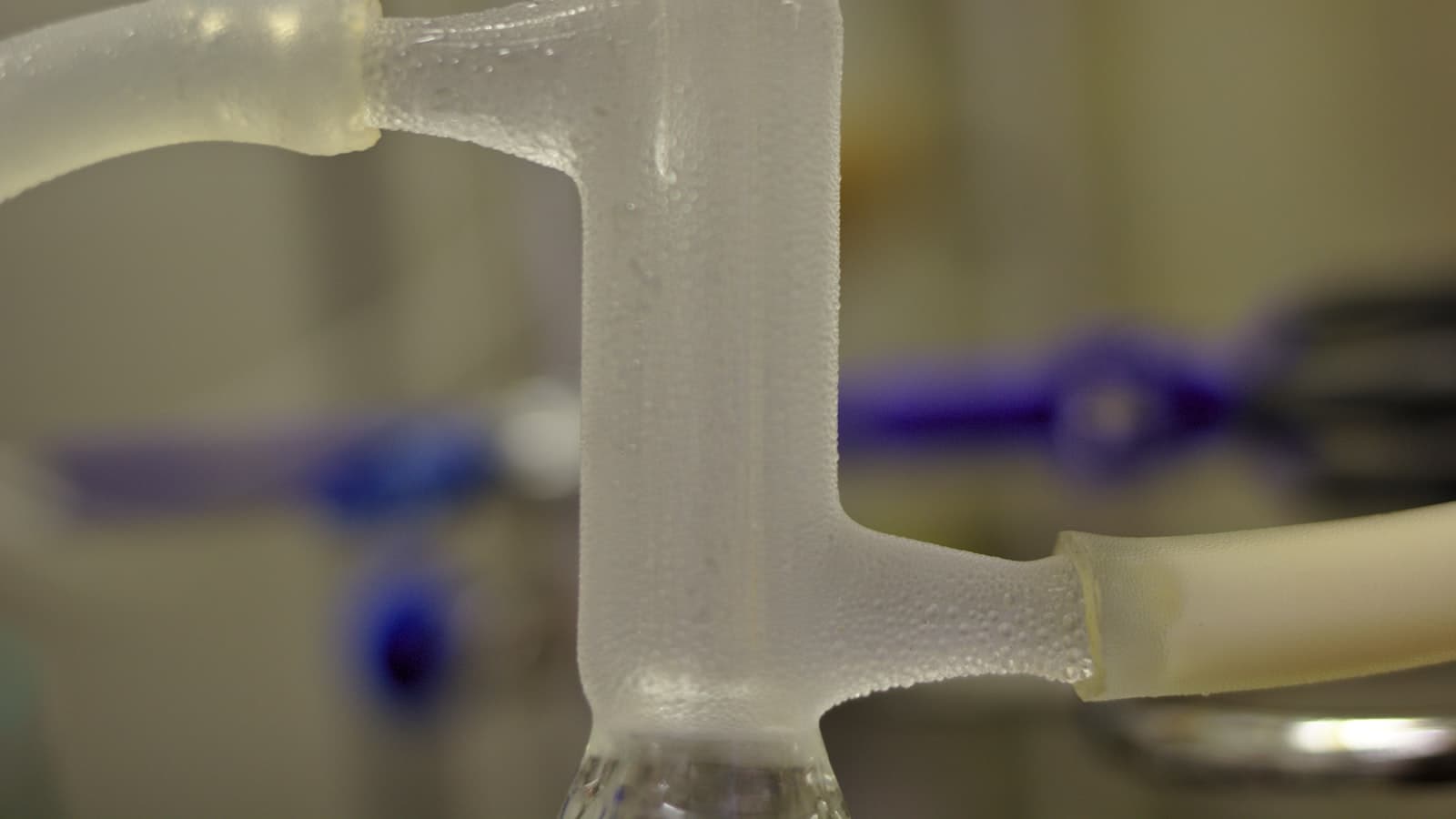 微生物由来タンパク質の回収・精製とは？菌体破砕からエンドトキシン除去まで