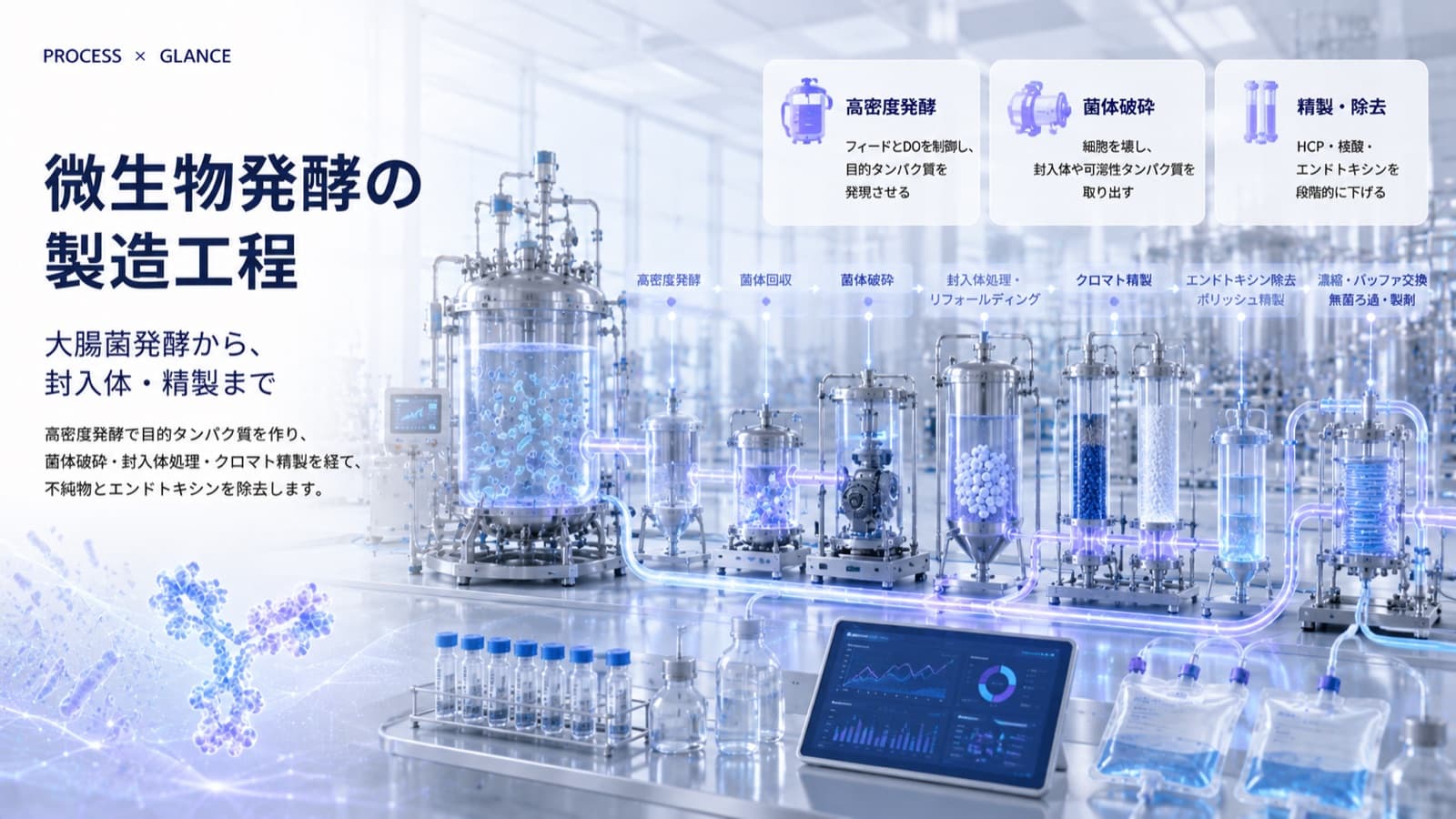 微生物発酵（大腸菌）の製造工程とは？発酵から封入体・精製まで