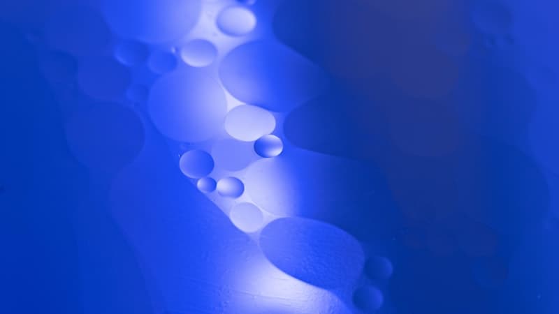 微生物発酵のスケールアップ：酸素供給とせん断の壁