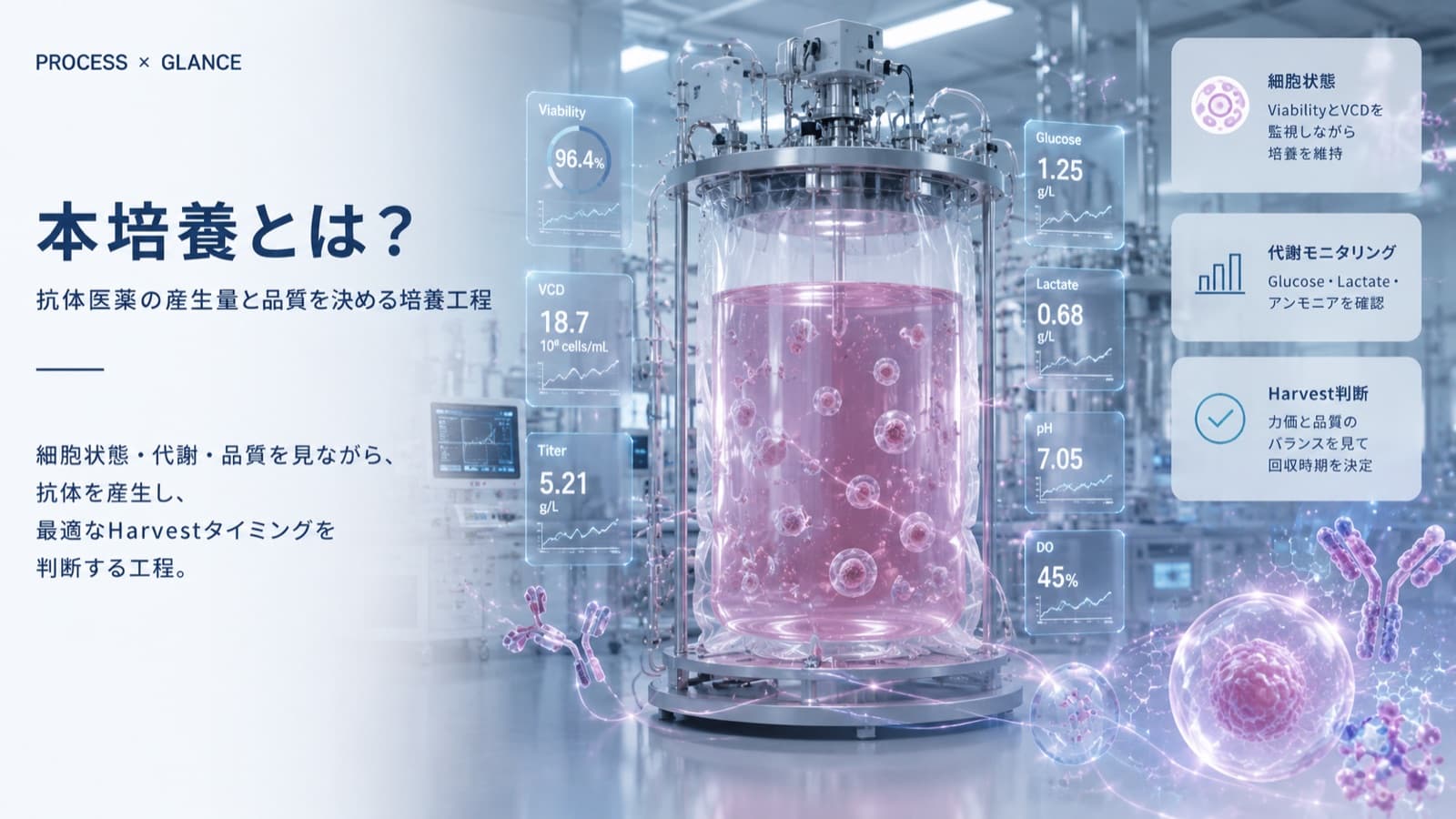 本培養とは？抗体医薬の産生量と品質を決める培養工程