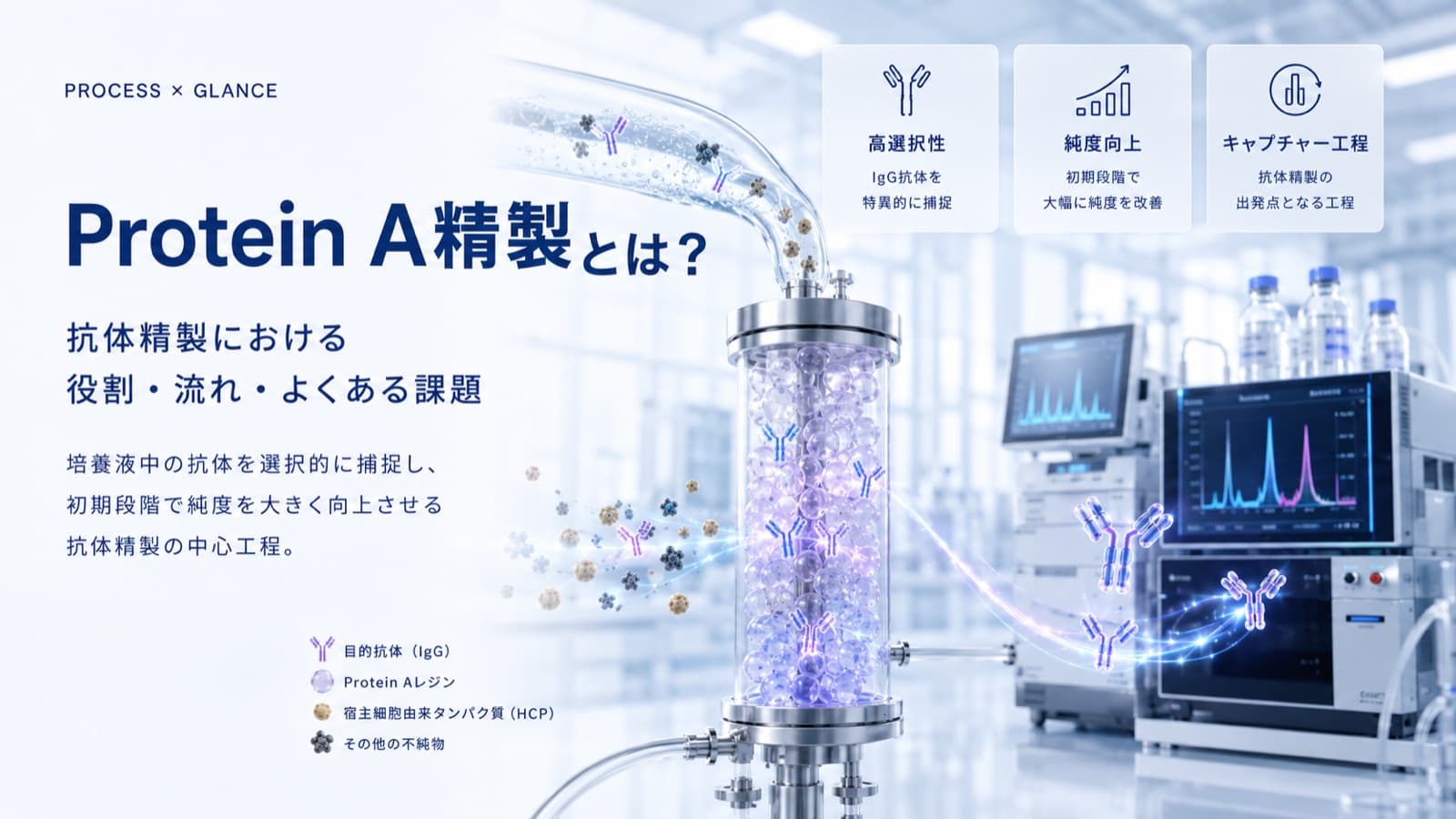 Protein A精製とは？抗体精製における役割・流れ・よくある課題