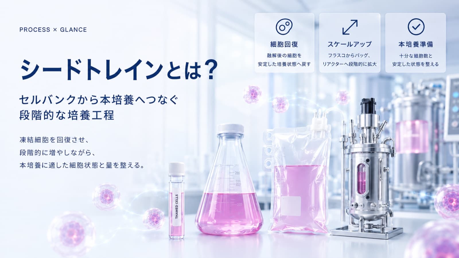シードトレインとは？セルバンクから本培養へつなぐ段階的な培養工程