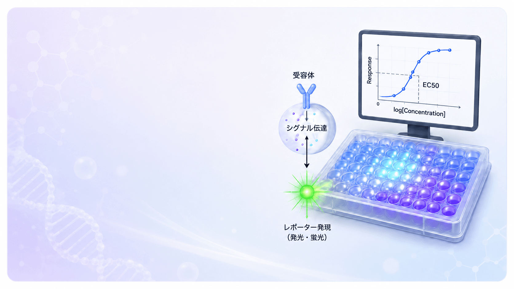 細胞ベースアッセイ / レポーター細胞とは?