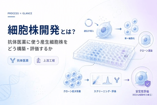細胞株開発とは?抗体医薬に使う産生細胞株をどう構築・評価するか