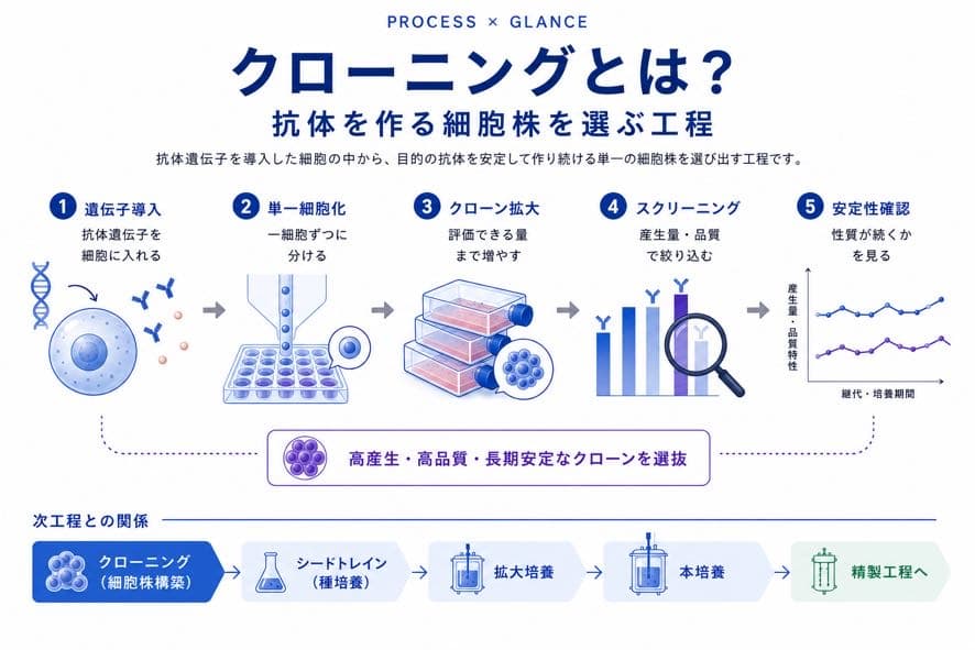 クローニングとは?抗体を作る細胞株を選ぶ工程