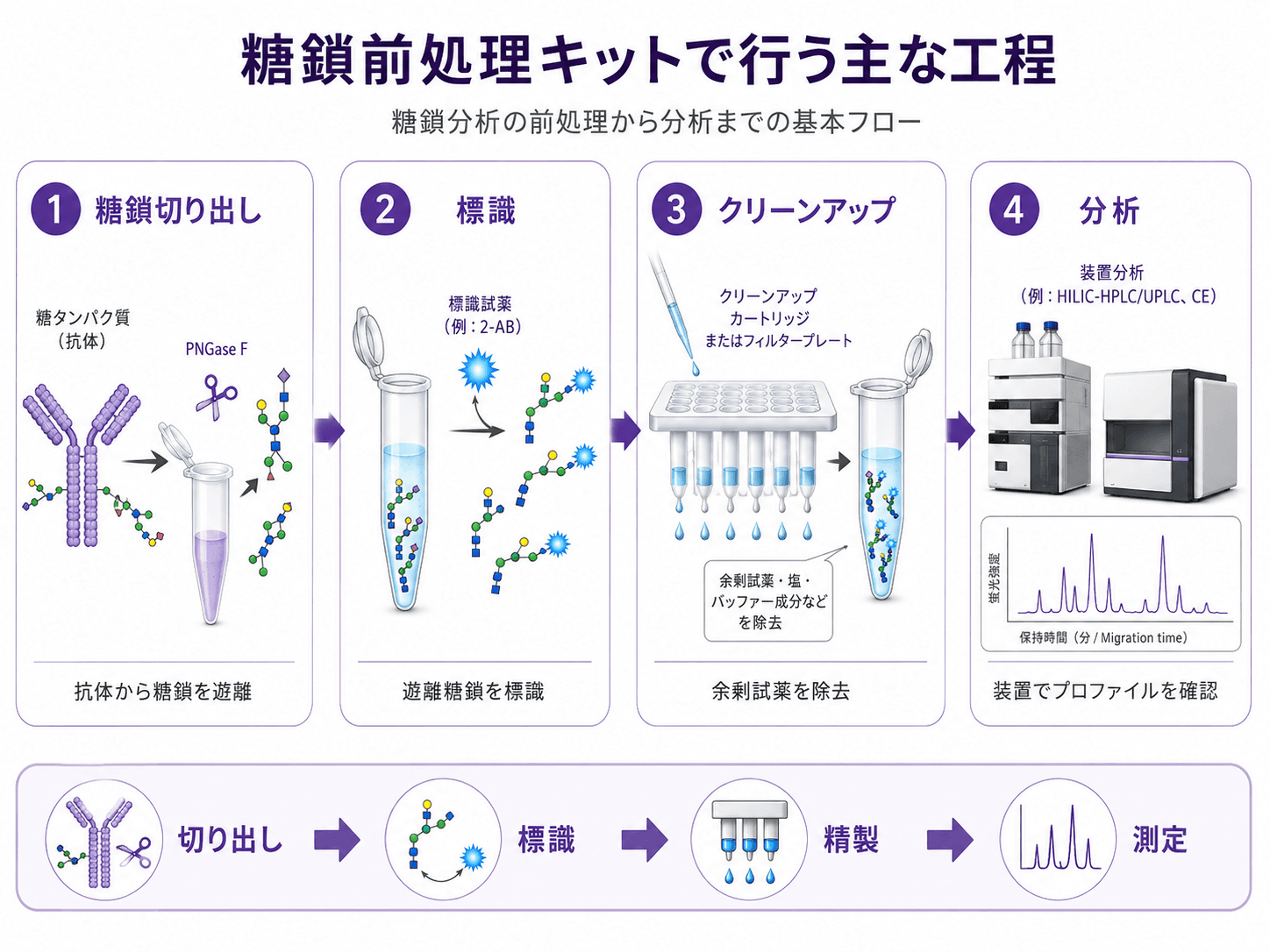 糖鎖前処理キットとは? 工程フロー
