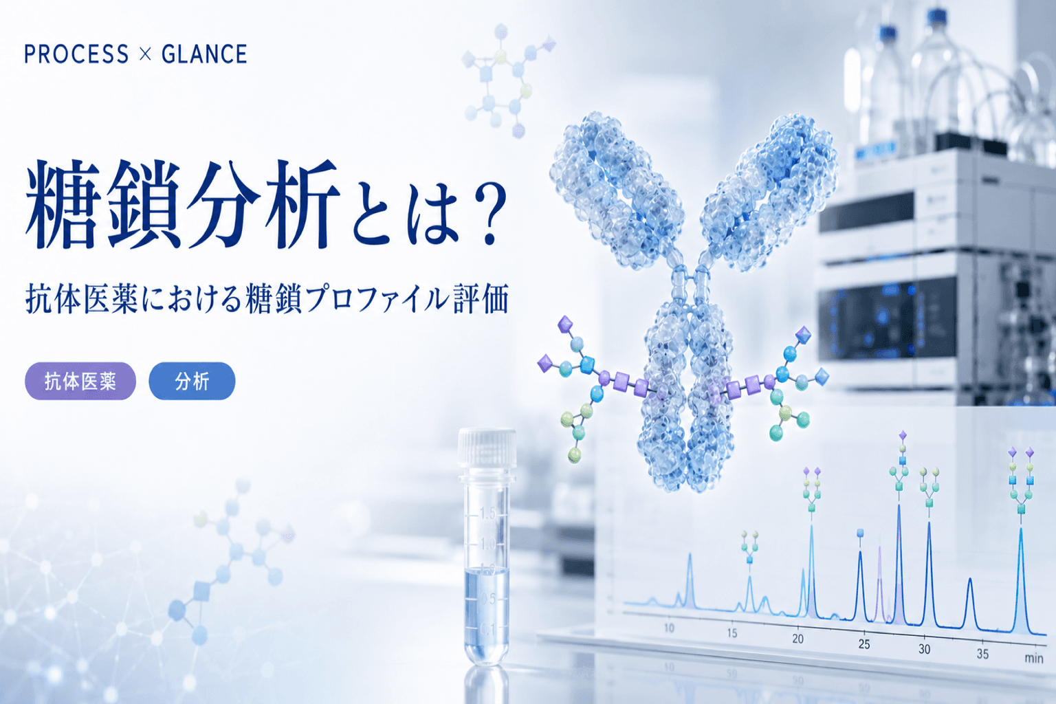 糖鎖分析とは?抗体医薬における糖鎖プロファイルを評価する