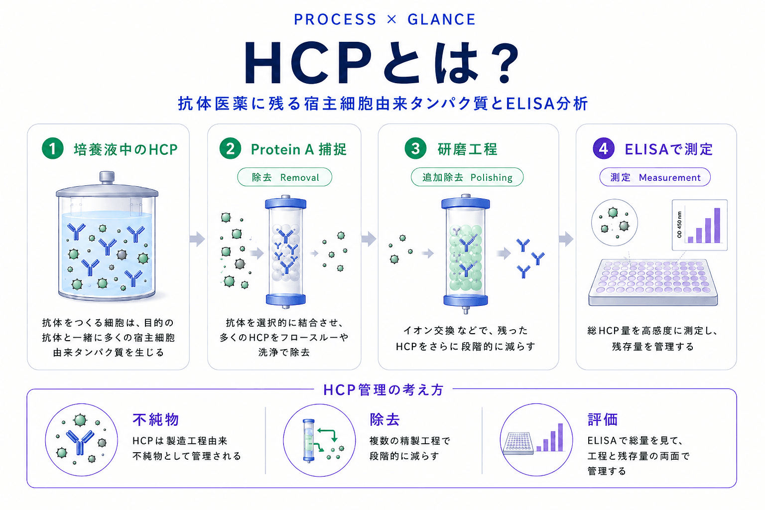 HCPとは?抗体医薬に残る宿主細胞由来タンパク質とELISA分析