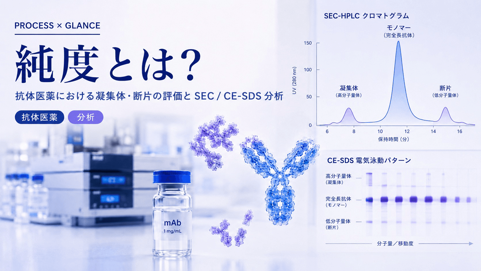純度とは?抗体医薬における凝集体・断片の評価とSEC / CE-SDS分析