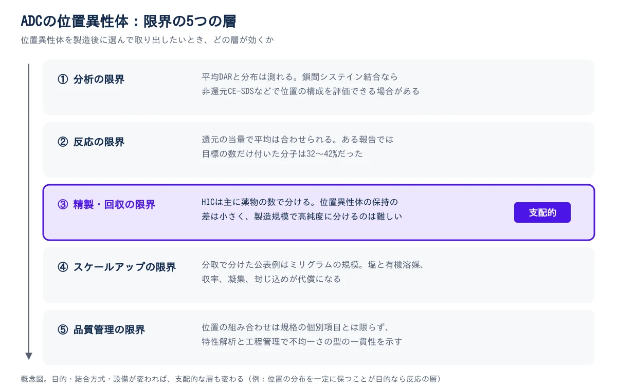 上から下に5つの層が並ぶ。①分析の限界は、平均DARと分布は測れ、鎖間システイン結合なら非還元CE-SDSなどで位置の構成を評価できる場合がある。②反応の限界は、還元の当量で平均は合わせられるが、ある報告では目標の数だけ付いた分子は32〜42%だった。③精製・回収の限界は、HICが主に薬物の数で分け、位置異性体の保持の差は小さく、製造規模で高純度に分けるのは難しい。この層が、位置異性体を製造後に選んで取り出したいときの支配的な層として色で強調されている。④スケールアップの限界は、分取で分けた公表例がミリグラムの規模で、塩と有機溶媒、収率、凝集、封じ込めが代償になる。⑤品質管理の限界は、位置の組み合わせは規格の個別項目とは限らず、特性解析と工程管理で不均一さの型の一貫性を示す。概念図で、目的・結合方式・設備が変われば支配的な層も変わる