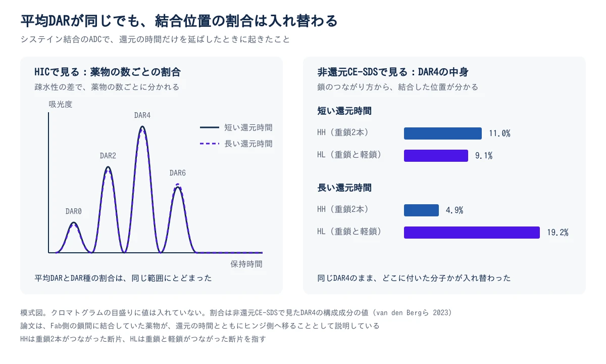 左の枠はHICで見た図で、薬物0個・2個・4個・6個のピークが並び、短い還元時間の線と長い還元時間の線がほぼ重なる。平均DARと薬物数ごとの割合は同じ範囲にとどまったと注記している。右の枠は非還元CE-SDSで見たDAR4の中身で、還元の時間が長いほど、重鎖2本がつながった断片として現れる分子の割合が減り、重鎖と軽鎖がつながった断片として現れる分子の割合が増える。割合の値は図の中と本文に示している。同じDAR4のまま、どこに付いた分子かが入れ替わったことを示す。模式図で、クロマトグラムの目盛りに値は入れていない