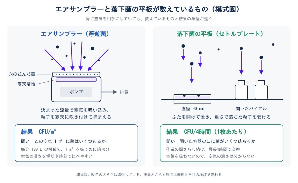 図1 エアサンプラーと落下菌の平板が数えているものの模式図。左のエアサンプラーは、上から空気を吸い込み、穴の並んだ蓋を通して下の寒天培地に粒子を吹き付け、ポンプの横から排気する。結果は CFU/m³ で、この空気 1 m³ に菌がいくつあるかに答える。毎分 100 L の機種では 1 m³ を吸うのに約10分かかり、空気の濃さを場所や時刻で比べやすい。右の落下菌の平板は、直径 90 mm の平板のふたを開けて開いたバイアルの横に置き、重さで落ちてきた粒子を受ける。結果は CFU/4時間(1枚あたり)で、開いた容器の口に菌がいくつ落ちるかに答える。作業の間さらし続けて最長4時間で交換し、空気を吸わないので空気の濃さは分からない
