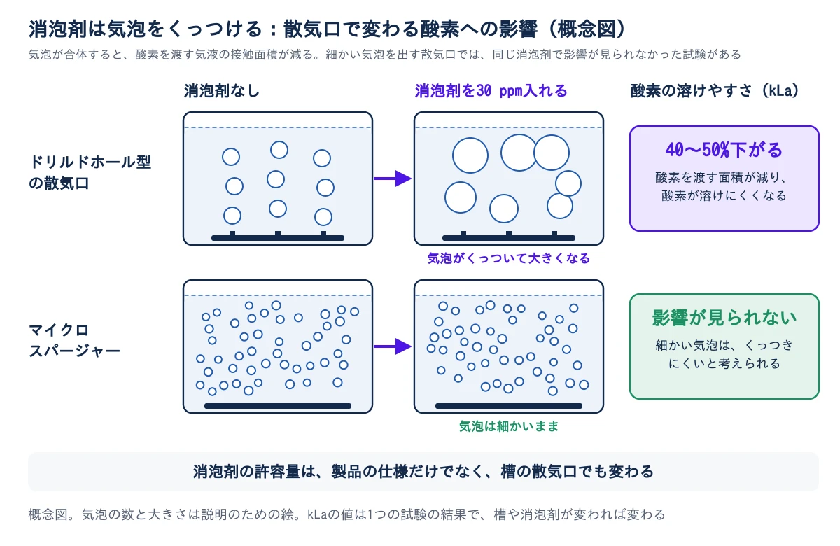 散気口の違いで、消泡剤が酸素の溶けやすさ(kLa)に及ぼす影響が変わる概念図。上の段はドリルドホール型の散気口。消泡剤なしでは中くらいの気泡が並んで上がるが、消泡剤を30 ppm入れると気泡がくっついて大きく少なくなり、kLaが40〜50%下がる。下の段はマイクロスパージャー。消泡剤なしでも30 ppm入れても、細かい気泡が多数上がったままで、kLaへの影響は見られなかった。細かい気泡は、くっつきにくいと考えられる。消泡剤の許容量は、製品の仕様だけでなく、槽の散気口でも変わる。気泡の数や大きさは説明用で実際の比ではない