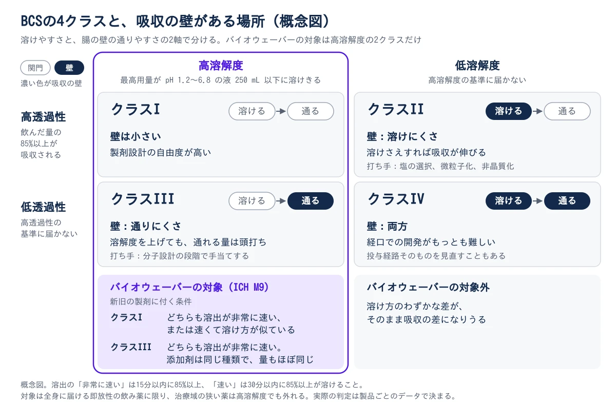 BCSの4クラスを2×2のマスに並べた概念図。横は溶解度で、左の列が高溶解度(最高用量が pH 1.2〜6.8 の液 250 mL 以下に溶けきる)、右の列が低溶解度。縦は膜透過性で、上の段が高透過性(飲んだ量の85%以上が吸収される)、下の段が低透過性。各マスには「溶ける」から「通る」への2つの関門があり、吸収の壁になるほうを濃い色で示す。クラスI(高溶解度・高透過性)は壁が小さく、製剤設計の自由度が高い。クラスII(低溶解度・高透過性)は溶けにくさが壁で、溶けさえすれば吸収が伸び、打ち手は塩の選択、微粒子化、非晶質化。クラスIII(高溶解度・低透過性)は通りにくさが壁で、溶解度を上げても通れる量は頭打ちになり、分子設計の段階で手当てする。クラスIV(低溶解度・低透過性)は両方が壁で、経口での開発がもっとも難しく、投与経路を見直すこともある。左の高溶解度の列は紫の枠で囲まれ、下にバイオウェーバーの対象(ICH M9)とある。クラスIは新旧の製剤がどちらも溶出が非常に速いか、速くて溶け方が似ていること、クラスIIIはどちらも溶出が非常に速く、添加剤が同じ種類でほぼ同じ量であることが条件。右の低溶解度の列のクラスIIとIVは対象外で、溶け方のわずかな差がそのまま吸収の差になりうるため。注記として、非常に速いは15分以内に85%以上、速いは30分以内に85%以上が溶けること、対象は全身に届ける即放性の飲み薬に限り、治療域の狭い薬は外れることが書かれている