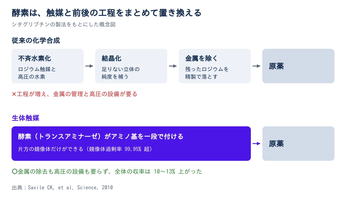 上下2段の比較。上の段は従来の化学合成で、ロジウム触媒と高圧の水素で不斉水素化し、立体の純度を結晶化で上げ、残った金属を精製で除いてから原薬になる。結論は、工程が増え、金属の管理と高圧の設備が要ること。下の段は生体触媒で、トランスアミナーゼがアミノ基を一段で付け、片方の鏡像体だけができて原薬になる。結論は、金属の除去と高圧の設備が要らず、収率が10〜13%上がったこと