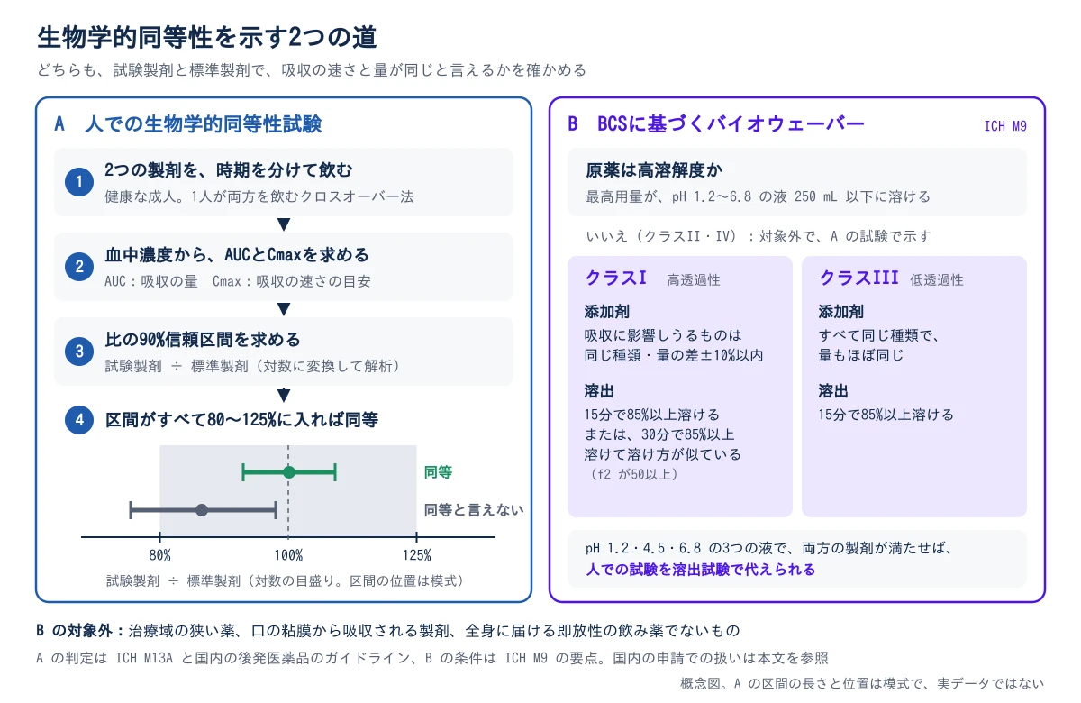 左右に2つの道を並べる。どちらも、試験製剤と標準製剤で吸収の速さと量が同じと言えるかを確かめる。左のAは人での生物学的同等性試験で、4つの段を上から並べる。1:健康な成人が2つの製剤を時期を分けて飲む(1人が両方を飲むクロスオーバー法)。2:血中濃度から、吸収の量を表すAUCと、吸収の速さの目安のCmaxを求める。3:試験製剤÷標準製剤の比の90%信頼区間を、対数に変換して求める。4:区間がすべて80〜125%に入れば同等。その下に、対数の目盛りの横軸に80%・100%・125%を示し、80〜125%の帯の中に区間がすべて入る例を同等、区間の端が80%を下回る例を同等と言えないとして描く(区間の位置は模式)。右のBはBCSに基づくバイオウェーバー(ICH M9)。まず原薬が高溶解度か(最高用量がpH 1.2〜6.8の液250 mL以下に溶けるか)を見て、いいえ(クラスII・IV)なら対象外でAの試験で示す。はいなら透過性で2つに分ける。クラスI(高透過性)は、吸収に影響しうる添加剤が同じ種類で量の差が±10%以内、溶出は15分で85%以上溶けるか、30分で85%以上溶けて溶け方が似ている(f2が50以上)こと。クラスIII(低透過性)は、すべての添加剤が同じ種類で量もほぼ同じ、溶出は15分で85%以上溶けること。pH 1.2・4.5・6.8の3つの液で両方の製剤が条件を満たせば、人での試験を溶出試験で代えられる。図の下に、Bの対象外は治療域の狭い薬、口の粘膜から吸収される製剤、全身に届ける即放性の飲み薬でないものと書く。Aの判定はICH M13Aと国内の後発医薬品のガイドライン、Bの条件はICH M9の要点を示した概念図