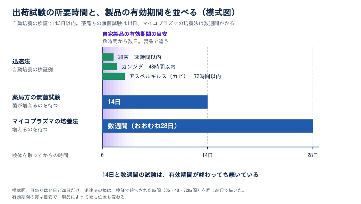 横軸を検体を取ってからの時間にして、試験の所要時間を横棒で比べた模式図。目盛りは0、14日、28日だけ。左端に、自家製品の有効期間の目安として、数時間から数日の範囲を示す薄い紫の帯がある。一番上は迅速法(自動培養の検証例)で、短い3本の棒が帯と同じ程度の長さで並び、細菌が36時間以内、カンジダが48時間以内、アスペルギルスが72時間以内。その下の薬局方の無菌試験は14日の棒で、帯をはるかに越えて14日の位置まで伸びる。いちばん下のマイコプラズマの培養法は、数週間(おおむね28日)の棒で、28日の位置まで伸びる。14日と数週間の試験は、有効期間が終わっても続いている。迅速法の棒は報告された時間と同じ縮尺で、有効期間の帯は製品で変わる目安。