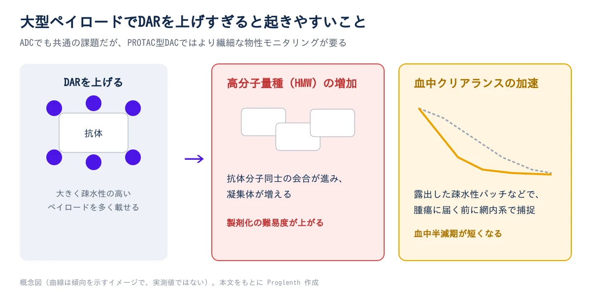 抗体1分子に載せるPROTACの数(DAR)が増えると、2つの物性悪化が起きやすくなる。1つは高分子量種(HMW、凝集体)の増加で、抗体分子同士の会合が進み製剤化の難易度が上がる。もう1つは血中クリアランスの加速で、露出した疎水性パッチが原因で標的腫瘍に届く前に網内系で捕捉され、血中半減期が短くなる
