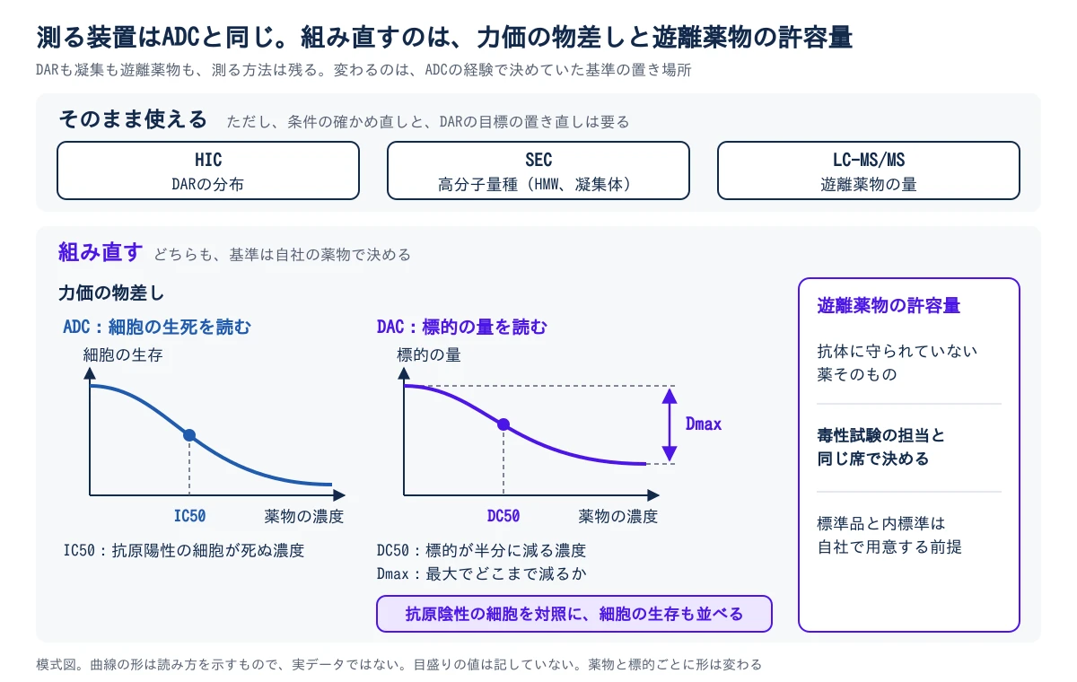 ADCの試験のうち、DACでもそのまま使えるものと、組み直すものを分けた模式図。上段のそのまま使えるものは三つで、HICがDARの分布、SECが高分子量種(HMW、凝集体)、LC-MS/MSが遊離薬物の量を見る。ただし、条件の確かめ直しと、DARの目標の置き直しは要る。下段の組み直すものは二つ。一つ目は力価の物差しで、薬物の濃度を横軸にした二本の曲線で比べる。左のADCは細胞の生死を読み、細胞の生存が下がる曲線の中ほどがIC50で、抗原陽性の細胞が死ぬ濃度。右のDACは標的の量を読み、標的の量が下がる曲線の中ほどがDC50で、標的が半分に減る濃度。曲線は途中で横ばいになり、最初の量からどこまで減るかがDmax。DACでは、抗原陰性の細胞を対照に置き、細胞の生存も並べる。二つ目は遊離薬物の許容量で、抗体に守られていない薬そのものについて、毒性試験の担当と同じ席で決め、標準品と内標準は自社で用意する前提で動く。曲線は読み方を示す模式図で、実データではなく、目盛りの値は記していない