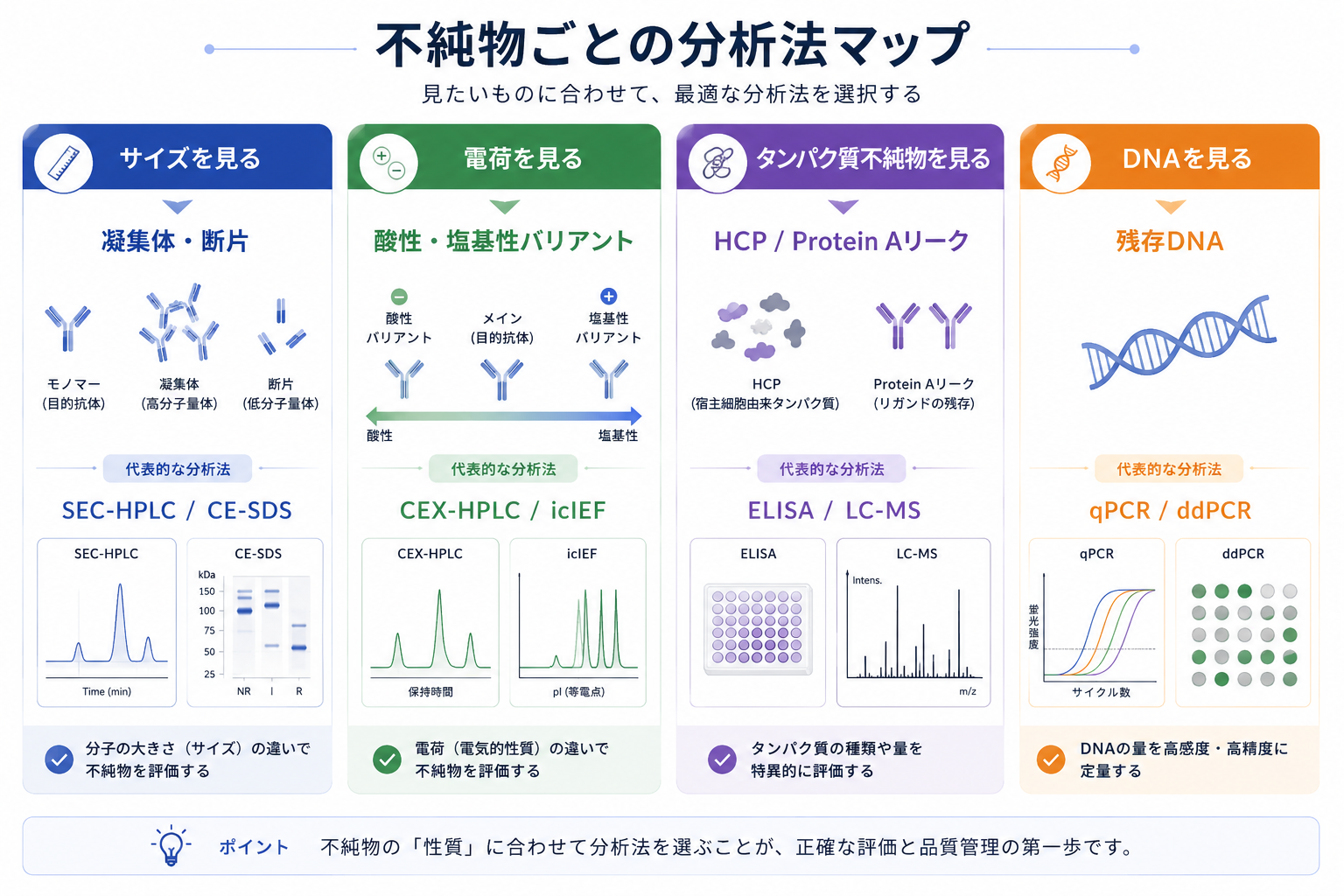 不純物ごとの分析法マップ:サイズを見る(凝集体・断片=SEC-HPLC / CE-SDS)、電荷を見る(酸性・塩基性バリアント=CEX-HPLC / icIEF)、タンパク質不純物を見る(HCP・Protein Aリーク=ELISA / LC-MS)、DNAを見る(残存DNA=qPCR / ddPCR)