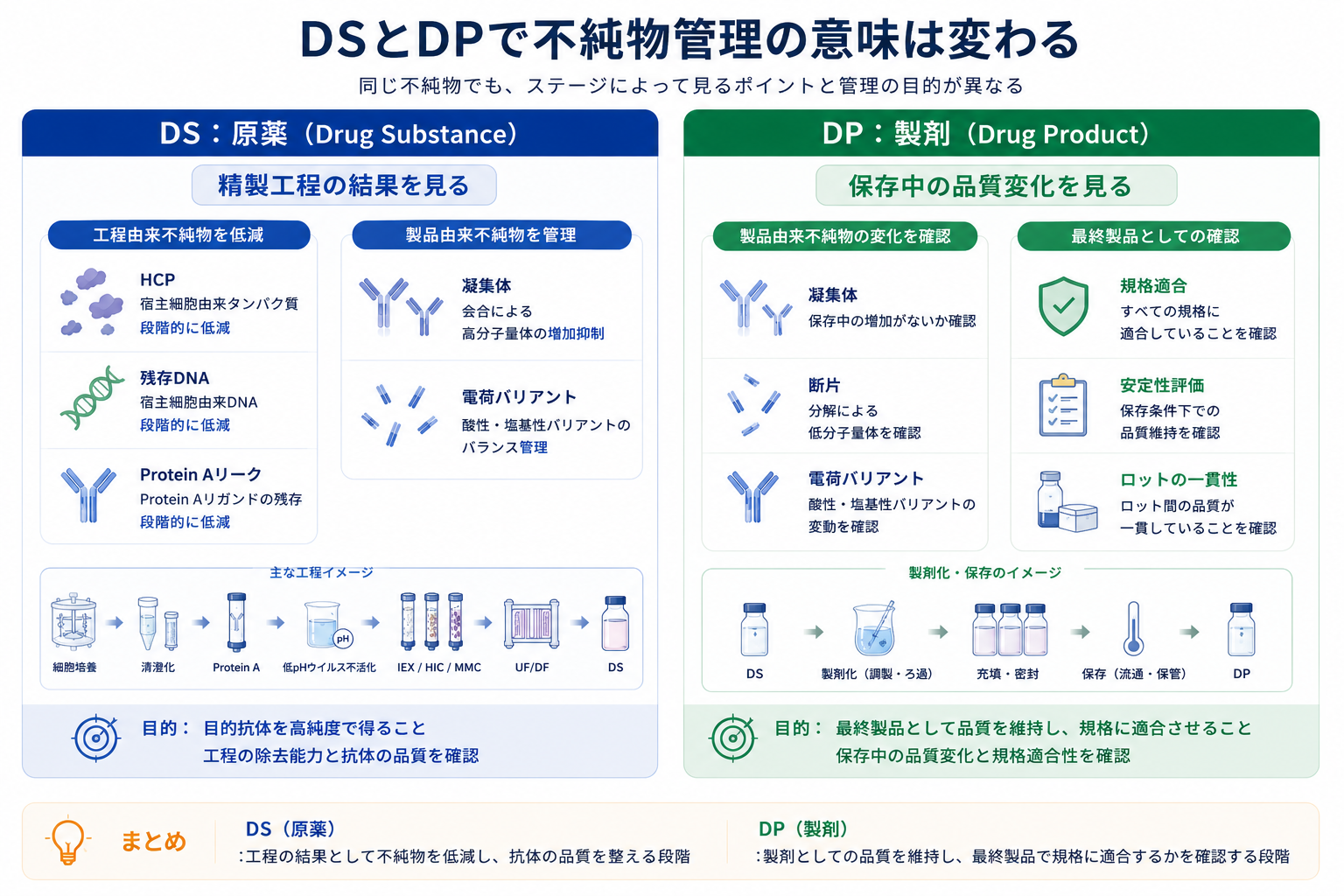 DSとDPで不純物管理の意味は変わる:DS(原薬)は精製工程の結果を見て工程の除去能力と抗体の品質を確認、DP(製剤)は保存中の品質変化と最終製品としての規格適合性を確認する