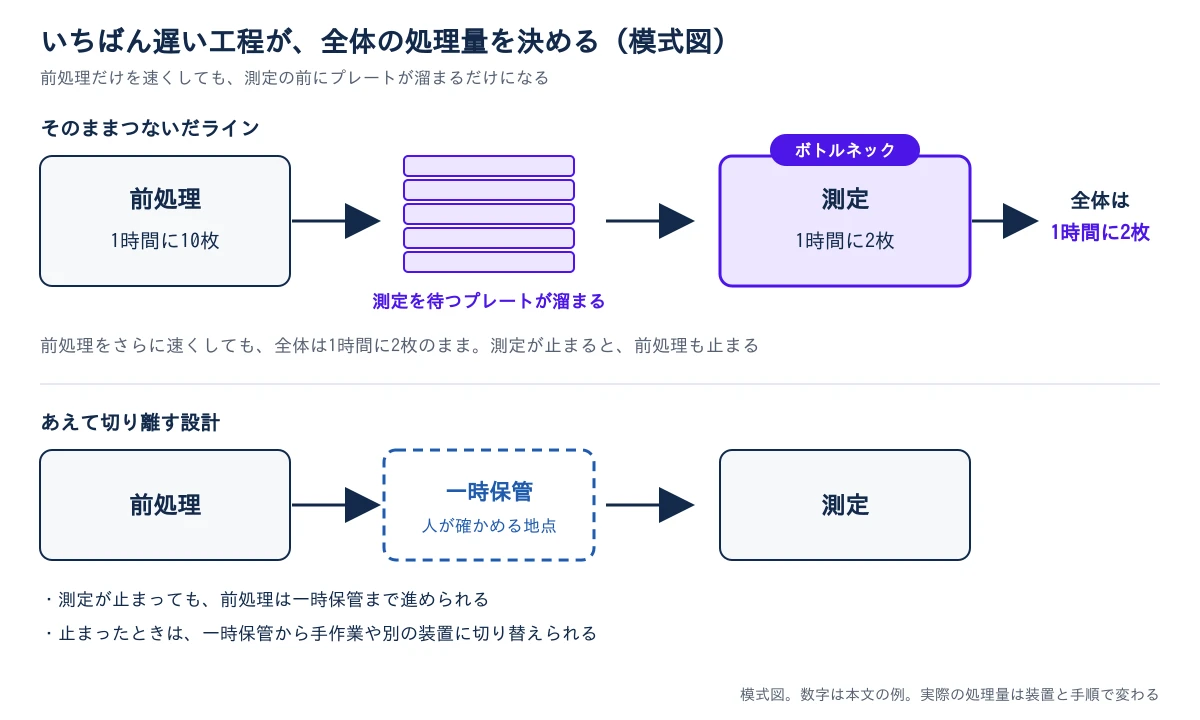 上の段は、そのままつないだライン。前処理(1時間に10枚)から測定(1時間に2枚、ボトルネックの印)へ矢印でつながり、その間に測定を待つプレートが積み重なって溜まる。全体の処理量は1時間に2枚で、前処理をさらに速くしても変わらず、測定が止まると前処理も止まると注記がある。下の段は、あえて切り離す設計。前処理と測定の間に、点線の枠の一時保管(人が確かめる地点)を置く。測定が止まっても前処理は一時保管まで進められ、止まったときは一時保管から手作業や別の装置に切り替えられる