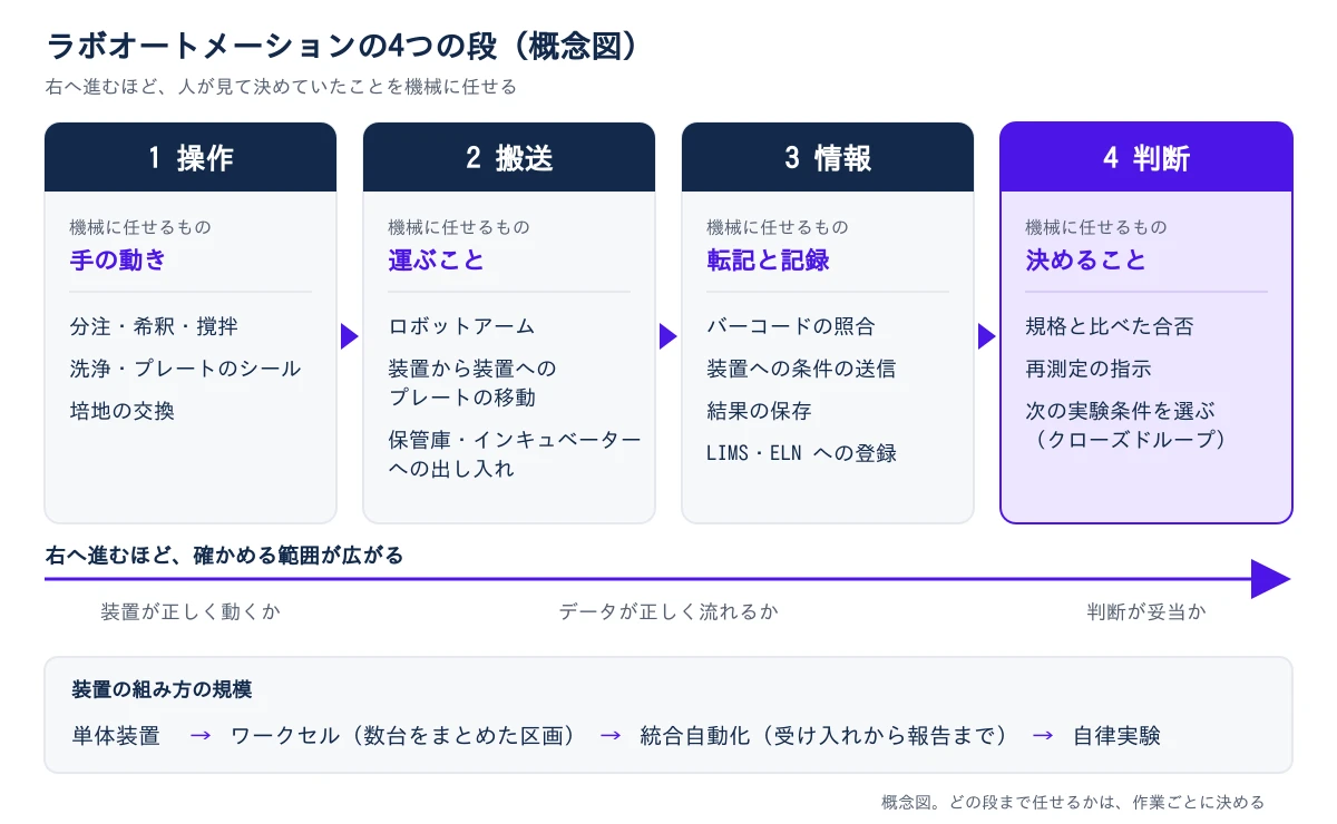 左から右へ、1 操作、2 搬送、3 情報、4 判断の4つの段が矢印でつながる。操作で機械に任せるものは手の動きで、例は分注・希釈・撹拌、洗浄・プレートのシール、培地の交換。搬送は運ぶことで、例はロボットアーム、装置から装置へのプレートの移動、保管庫・インキュベーターへの出し入れ。情報は転記と記録で、例はバーコードの照合、装置への条件の送信、結果の保存、LIMS・ELNへの登録。判断は決めることで、例は規格と比べた合否、再測定の指示、次の実験条件を選ぶ(クローズドループ)。下に、右へ進むほど確かめる範囲が広がることを示す矢印があり、装置が正しく動くか、データが正しく流れるか、判断が妥当か、の順に並ぶ。いちばん下に、装置の組み方の規模が、単体装置、ワークセル(数台をまとめた区画)、統合自動化(受け入れから報告まで)、自律実験の順に並ぶ