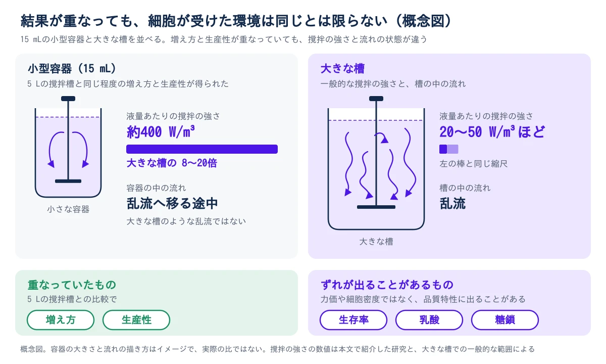 左は15 mLの小型容器で、5 Lの撹拌槽と同じ程度の増え方と生産性が得られた研究。液量あたりの撹拌の強さは約400 W/m³で、大きな槽の8〜20倍にあたり、容器の中の流れは乱流へ移る途中だった。右は大きな槽で、一般的な撹拌の強さは20〜50 W/m³ほど、流れは乱流。下段は、重なっていたものが増え方と生産性で、ずれが出ることがあるものが生存率、乳酸、糖鎖であることを示す。