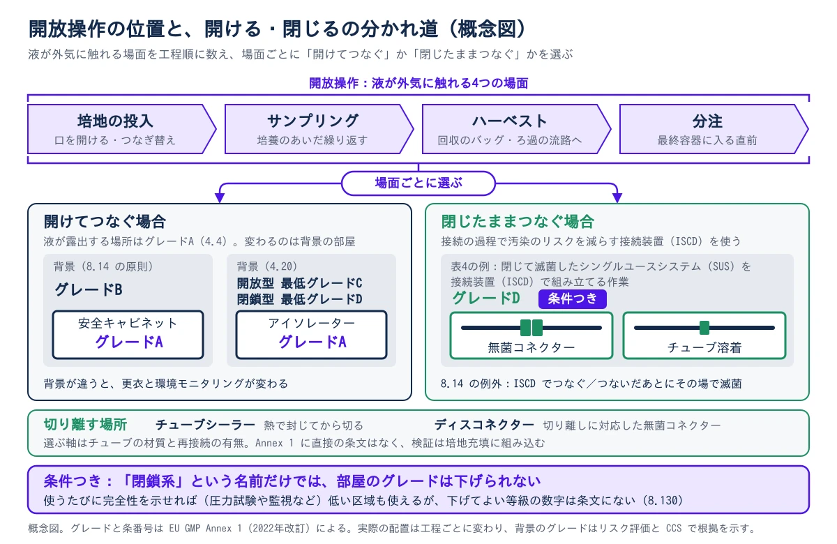 上段に、液が外気に触れる開放操作の4つの場面が工程順に並ぶ。培地の投入、サンプリング、ハーベスト、分注。そこから場面ごとに2つの扱いに分かれる。左は開けてつなぐ場合で、液が露出する場所はグレードA(安全キャビネット、アイソレーター)。背景は安全キャビネットならグレードB(8.14の原則)、アイソレーターなら開放型が最低グレードC、閉鎖型が最低グレードD(4.20)。右は閉じたままつなぐ場合で、接続の過程で汚染のリスクを減らす接続装置(ISCD)として無菌コネクターやチューブ溶着を使う。8.14ではグレードAと背景Bの原則の例外で、表4は閉じて滅菌したシングルユースシステムをISCDで組み立てる作業をグレードDの例に挙げる。ただし条件つき。その下に、切り離す場所としてチューブシーラーとディスコネクターがあり、選ぶ軸はチューブの材質と再接続の有無。最下段に、閉鎖系という名前だけでは部屋のグレードは下げられず、使うたびに完全性を示せれば低い区域も使えるが、下げてよい等級の数字は条文にないという条件(8.130)を示す。