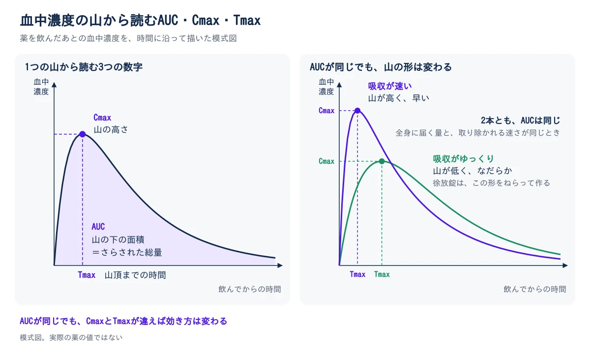 血中濃度の山から読むAUC・Cmax・Tmaxの模式図。横軸は飲んでからの時間、縦軸は血中濃度。左は1本の曲線で、山のいちばん高い点の高さがCmax、山頂に着くまでの時間がTmax、山の下の面積がAUC(体が薬にさらされた総量)。右は吸収が速い曲線とゆっくりな曲線を重ねたもので、速いほうは山が高く山頂に早く着き、ゆっくりなほうは山が低くなだらかで、Tmaxが遅い。全身に届く量と取り除かれる速さが同じなら、2本の山の下の面積(AUC)は同じ。徐放錠は、低くなだらかな山をねらって作られる