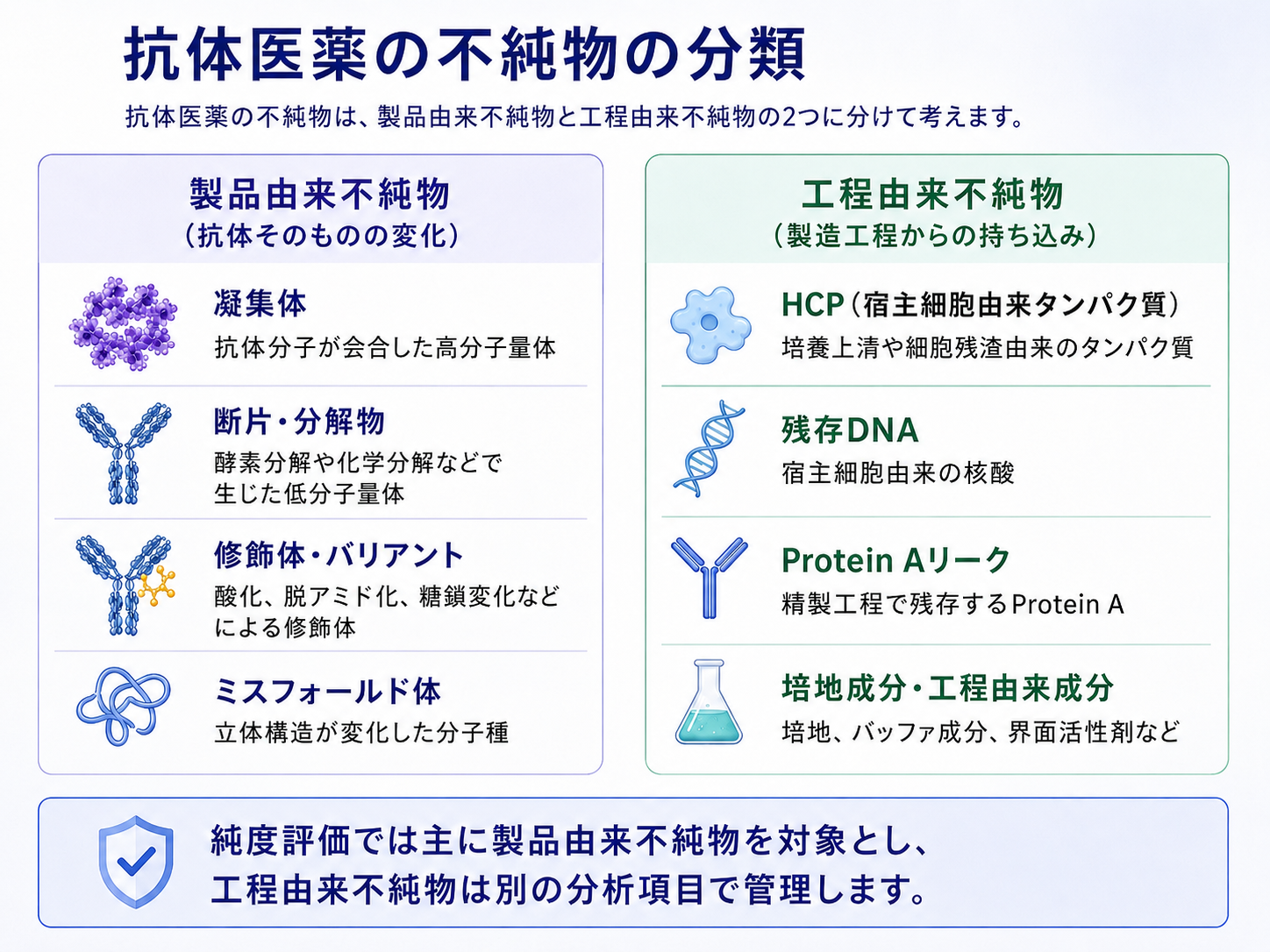 抗体医薬の不純物の分類:製品由来不純物(凝集体・断片・修飾体・ミスフォールド体)と、工程由来不純物(HCP・残存DNA・Protein Aリーク・培地成分)