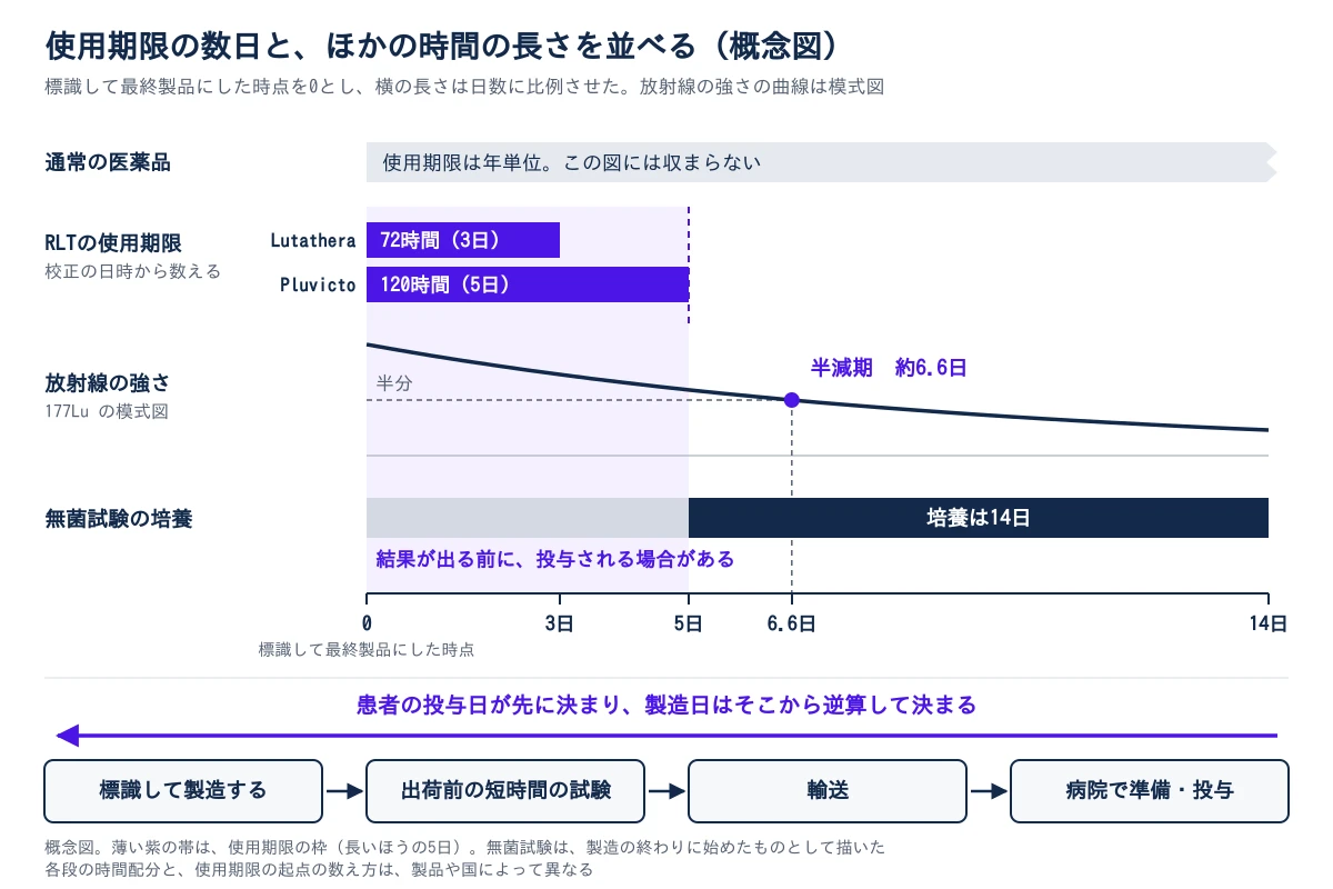 標識して最終製品にした時点を0として、日数に比例した長さで時間を並べた概念図。いちばん上は通常の医薬品で、使用期限は年単位のため図に収まらない。次の段が放射性リガンド療法の使用期限で、校正の日時から数え、Lutatheraは72時間(3日)、Pluvictoは120時間(5日)。薄い紫の帯が、この使用期限の枠を示す。その下の曲線は、ルテチウム-177の放射線の強さが時間とともに減る模式図で、半分になるのは約6.6日で、使用期限の枠より少し後ろにある。無菌試験の培養は14日で、使用期限の枠を過ぎたあとに結果が出るため、結果が出る前に投与される場合がある。いちばん下は、標識して製造する、出荷前の短時間の試験、輸送、病院で準備・投与の順に進む流れで、患者の投与日が先に決まり、製造日はそこから逆算して決まることを、右から左への矢印で示す。
