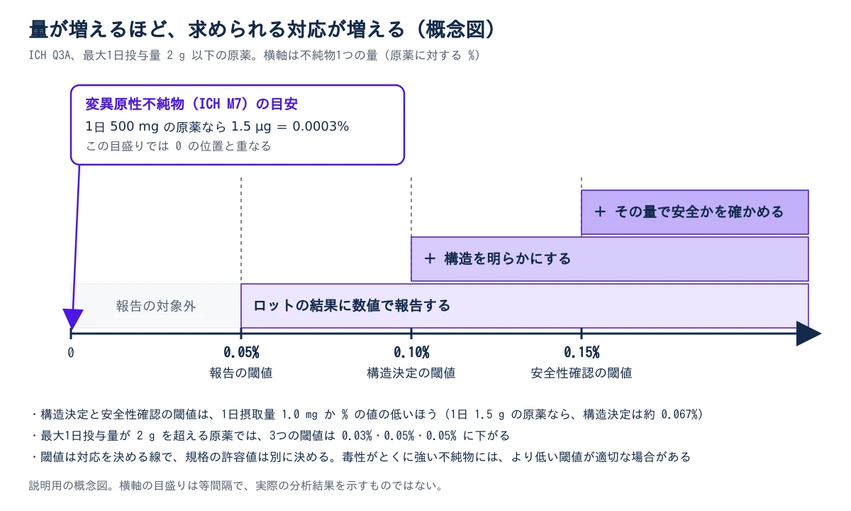 最大1日投与量 2 g 以下の原薬について、横軸に不純物1つの量(原薬に対する %)をとった図。0 から 0.05% までは報告の対象外。0.05%(報告の閾値)を超えるとロットの結果に数値で報告し、0.10%(構造決定の閾値)を超えるとそれに加えて構造を明らかにし、0.15%(安全性確認の閾値)を超えるとさらにその量で安全かを確かめる。対応は右へ行くほど積み重なる。左上の枠は変異原性不純物(ICH M7)の目安で、1日 500 mg の原薬なら 1.5 µg が 0.0003% に当たり、この目盛りでは 0 の位置と重なることを矢印で示す。注として、構造決定と安全性確認の閾値は1日摂取量 1.0 mg か % の値の低いほうであること、2 g を超える原薬では閾値が下がること、閾値は対応を決める線で規格の許容値は別に決めること、毒性がとくに強い不純物にはより低い閾値が適切な場合があることが書かれている