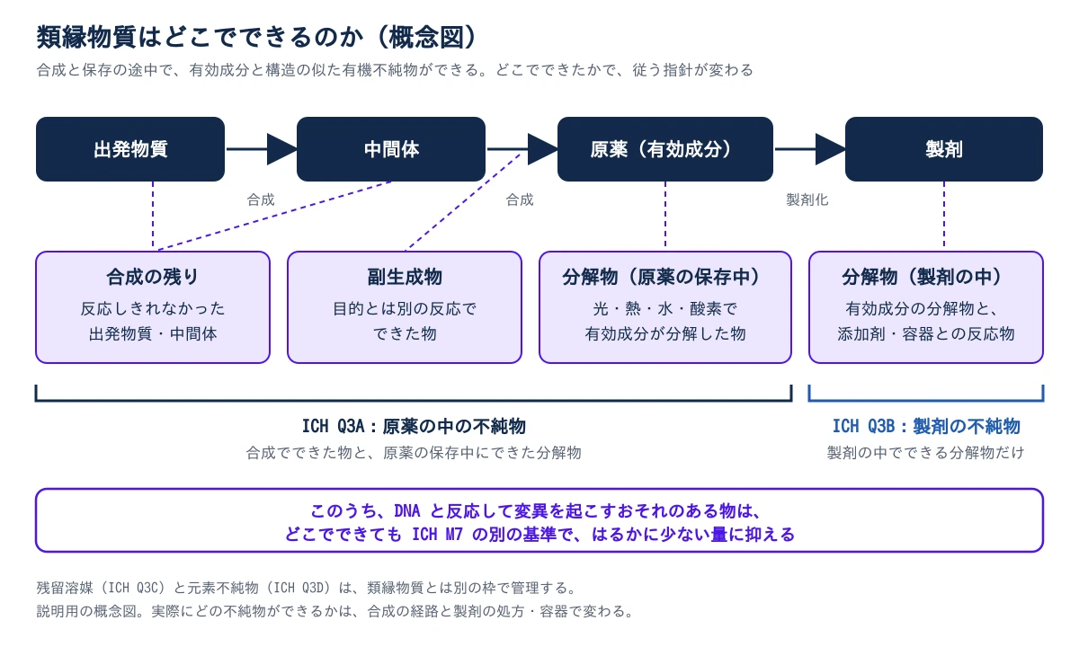 上段に、出発物質、中間体、原薬(有効成分)、製剤が左から右へ矢印でつながる。出発物質から原薬までが合成で、原薬から製剤までが製剤化。下段には、そこでできる類縁物質が4つ並ぶ。出発物質と中間体の下には、反応しきれなかった出発物質・中間体である合成の残り。中間体から原薬への矢印の下には、目的とは別の反応でできた副生成物。原薬の下には、光・熱・水・酸素で有効成分が分解した、原薬の保存中の分解物。製剤の下には、有効成分の分解物と添加剤・容器との反応物である、製剤の中の分解物。左の3つをまとめる括弧が ICH Q3A(原薬の中の不純物)、製剤の中の分解物だけを囲む括弧が ICH Q3B(製剤の不純物)。その下の帯に、このうち DNA と反応して変異を起こすおそれのある物は、どこでできても ICH M7 の別の基準ではるかに少ない量に抑えると書かれている。注として、残留溶媒(ICH Q3C)と元素不純物(ICH Q3D)は類縁物質とは別の枠で管理することが書かれている
