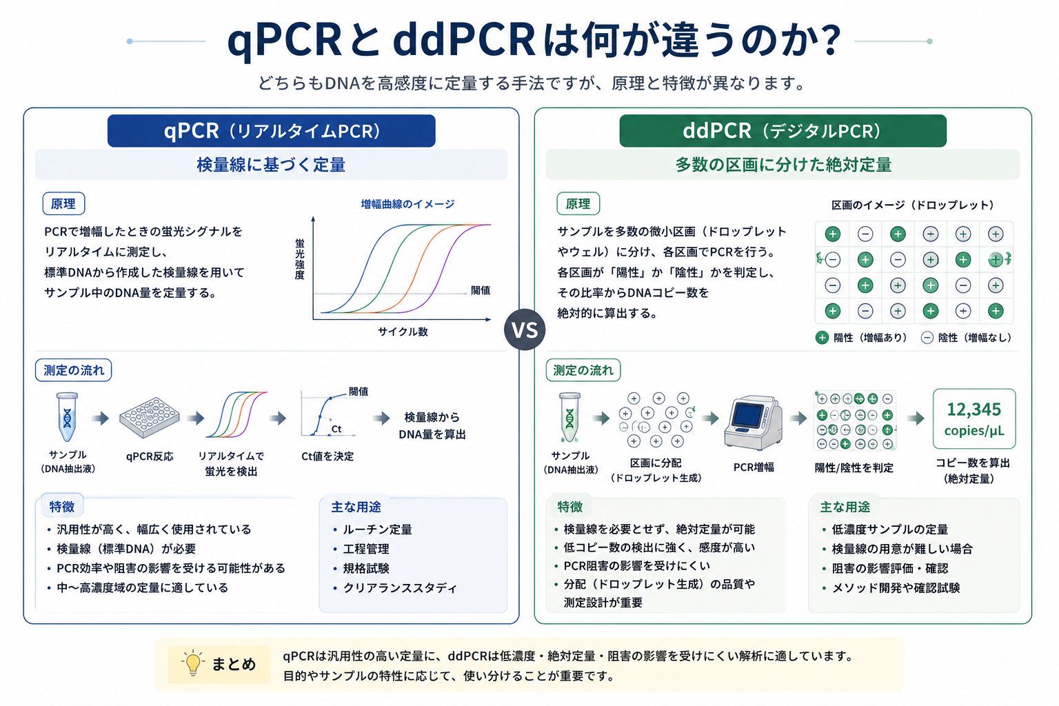 qPCRとddPCRの違い:qPCRは検量線に基づく定量(ルーチン・規格試験・工程管理向き)、ddPCRは多数の微小区画の陽性/陰性から絶対定量(低濃度・阻害影響の確認・メソッド開発向き)