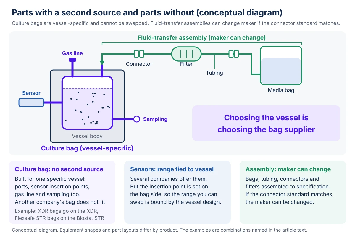 Conceptual diagram of the parts around a single-use vessel. Inside the vessel body sits a culture bag, drawn in purple, and its gas line, liquid ports, sampling and sensor insertion points are all designed around that vessel. So the culture bag is a part made for one vessel only: another company's bag does not fit, and a second source cannot be arranged. As examples, the bag for the XDR goes on the XDR and the bag for the Flexsafe STR goes on the Biostat STR. Several companies offer sensors, but the insertion point is set on the bag side, so the range in which they can be swapped is bound by the vessel design. The tubing assembly that carries liquid from the media bag through a filter and connectors to the culture bag is drawn in green, and if the connector standard matches, the maker can be changed. Choosing the vessel is choosing the bag supplier.