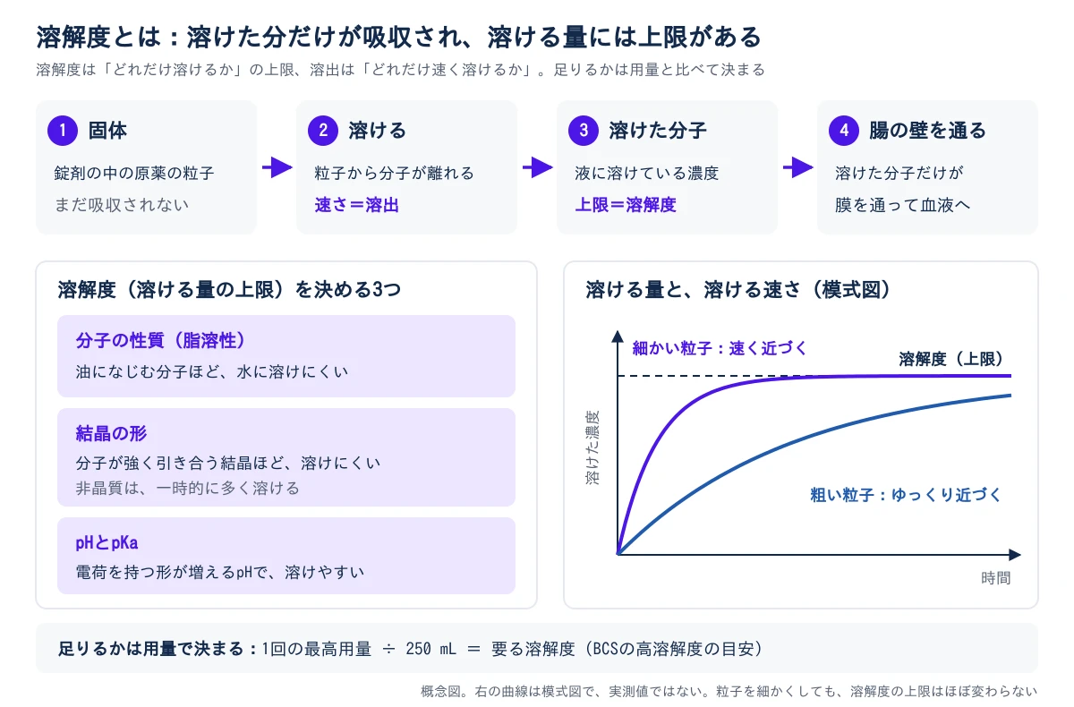 上の段に、飲み薬が吸収されるまでの4つの段を左から右へ並べる。①固体:錠剤の中の原薬の粒子。②溶ける:粒子の表面から分子が離れて液に出る段で、その速さが溶出。③溶けた分子:液に溶けている濃度で、それ以上は溶けない上限が溶解度。④腸の壁を通る:溶けた分子だけが膜を通って血液へ入る。下の左に、溶解度を決める3つを並べる。分子の性質(脂溶性)は、油になじむ分子ほど水に溶けにくい。結晶の形は、分子が強く引き合う結晶ほど溶けにくく、非晶質は一時的に多く溶ける。pHとpKaは、電荷を持つ形が増えるpHで溶けやすい。下の右に、横軸を時間、縦軸を溶けた濃度とした模式図を置き、細かい粒子は速く、粗い粒子はゆっくり濃度が上がるが、どちらも同じ溶解度の線で止まり、粒子を細かくしても溶解度の上限はほぼ変わらないことを示す。いちばん下に、足りるかは用量で決まり、最高用量を250 mLで割った濃度が、BCSの高溶解度の目安であると示す。概念図で、曲線は実測値ではない