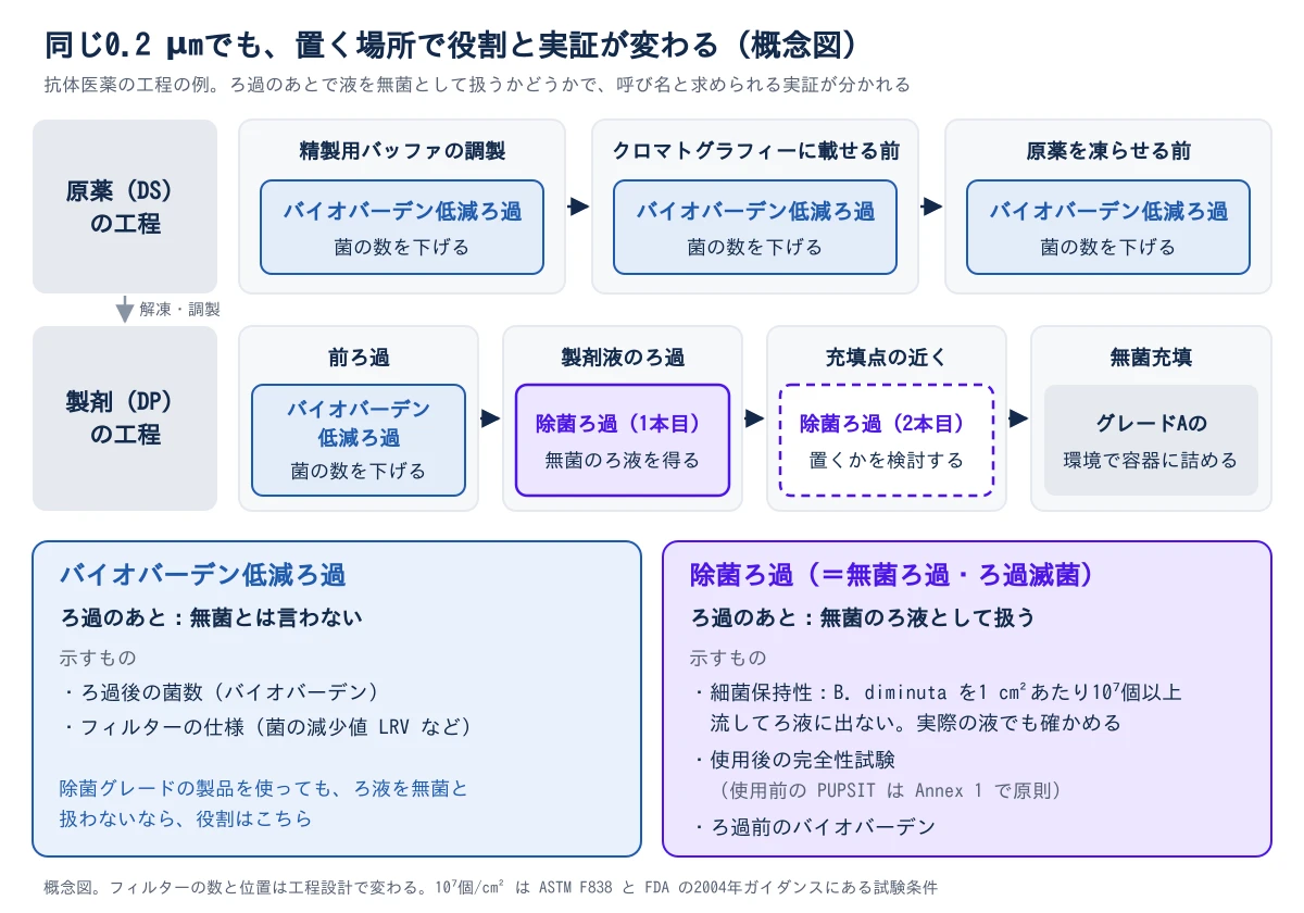 同じ0.2 µmのフィルターでも、置く場所で役割と実証の中身が変わることを示した概念図。上段は原薬(DS)の工程で、精製に使うバッファの調製、クロマトグラフィーに載せる前、原薬を凍らせる前の3か所にろ過が入り、どれもバイオバーデン低減ろ過として菌の数を下げる。原薬は解凍・調製して下段の製剤(DP)の工程へ進み、左から前ろ過(バイオバーデン低減ろ過)、製剤液のろ過(除菌ろ過の1本目、無菌のろ液を得る)、充填点の近くに置く2本目の除菌ろ過(置くかを検討する)、グレードAの環境での無菌充填の順に並ぶ。最下段の左の枠はバイオバーデン低減ろ過で、ろ過のあとは無菌とは言わず、示すものはろ過後の菌数とフィルターの仕様(菌の減少値など)。除菌グレードの製品を使っても、ろ液を無菌と扱わないならこちらに当たる。右の枠は除菌ろ過(無菌ろ過・ろ過滅菌と同じ)で、ろ過のあとは無菌のろ液として扱い、示すものは細菌保持性(B. diminuta を1 cm²あたり10の7乗個以上流してろ液に出ないこと、実際の液でも確かめる)、使用後の完全性試験(使用前の PUPSIT は Annex 1 で原則)、ろ過前のバイオバーデンの3つ。フィルターの数と位置は工程設計で変わる。