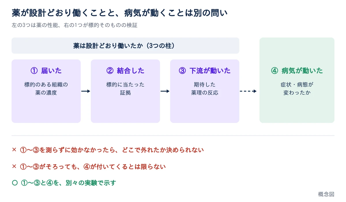 題は、薬が設計どおり働くことと、病気が動くことは別の問い。左に3つの柱として①届いた(標的のある組織の薬の濃度)、②結合した(標的に当たった証拠)、③下流が動いた(期待した薬理の反応)が矢印でつながり、点線の矢印の先に④病気が動いた(症状・病態が変わったか)がある。下に、①〜③を測らずに効かなかったらどこで外れたか決められない、①〜③がそろっても④が付いてくるとは限らない、①〜③と④を別々の実験で示す、と書かれている
