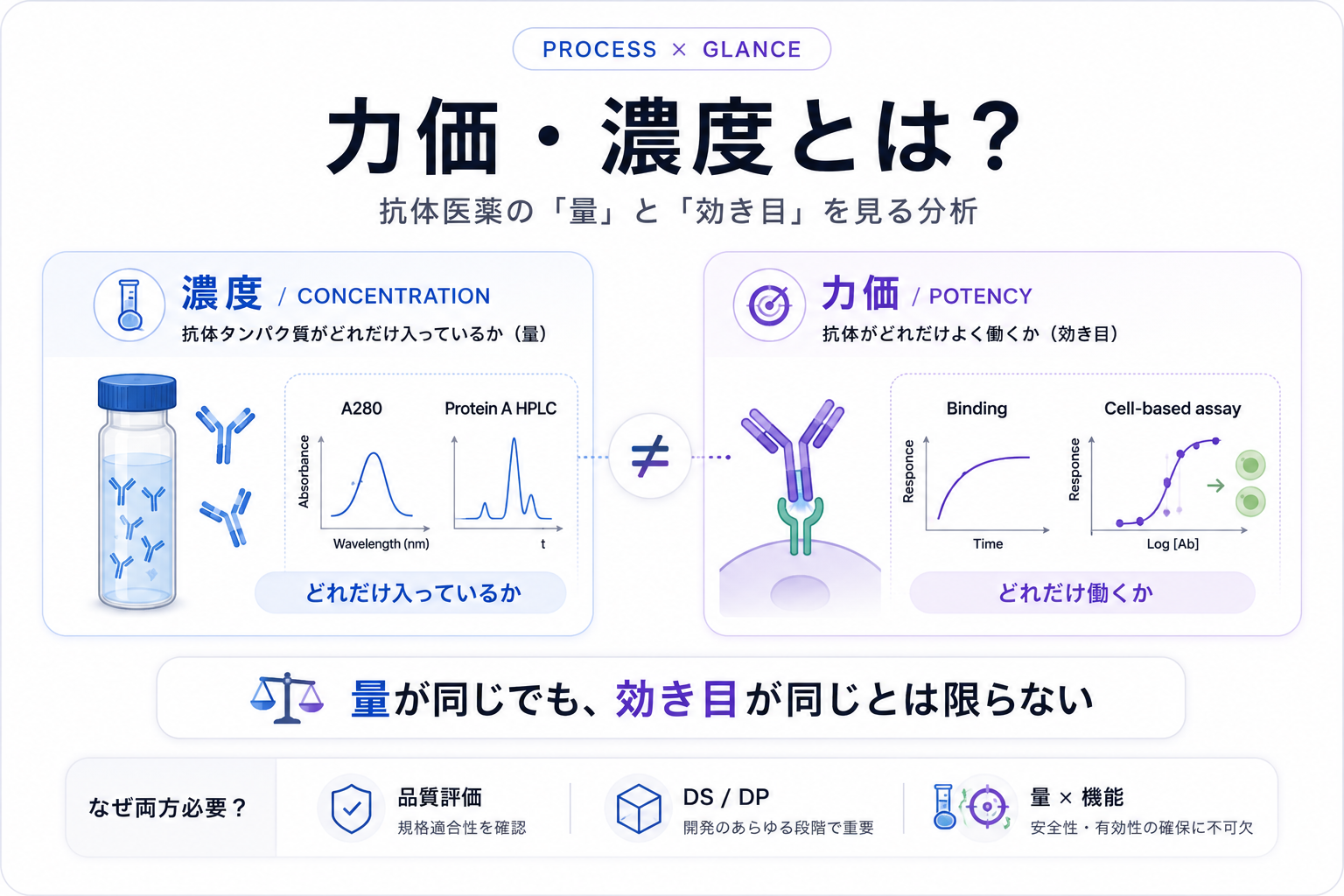 力価・濃度とは?抗体医薬の「量」と「効き目」を見る分析